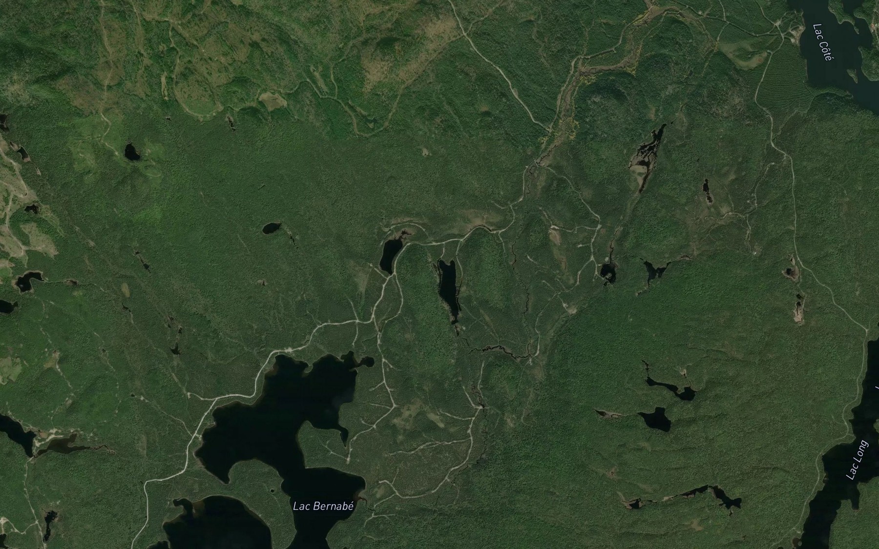 Satellite map of the Lac de la Pelisse