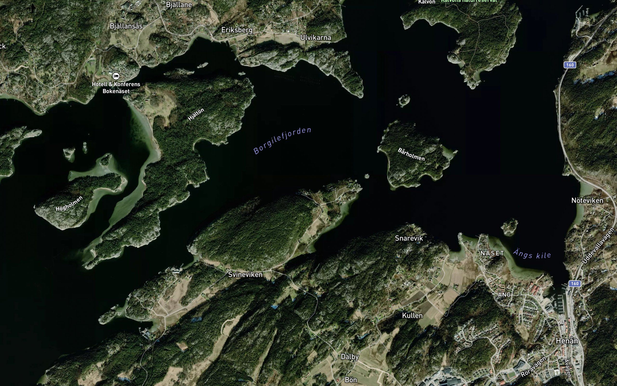 Borgilefjorden
