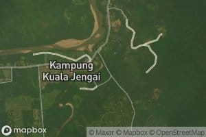 Sungai Kayu Ara