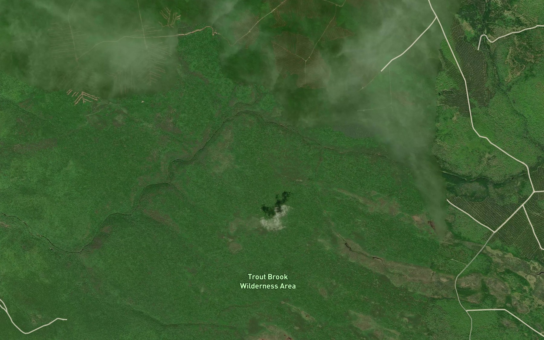 Satellite map of the East Trout Brook