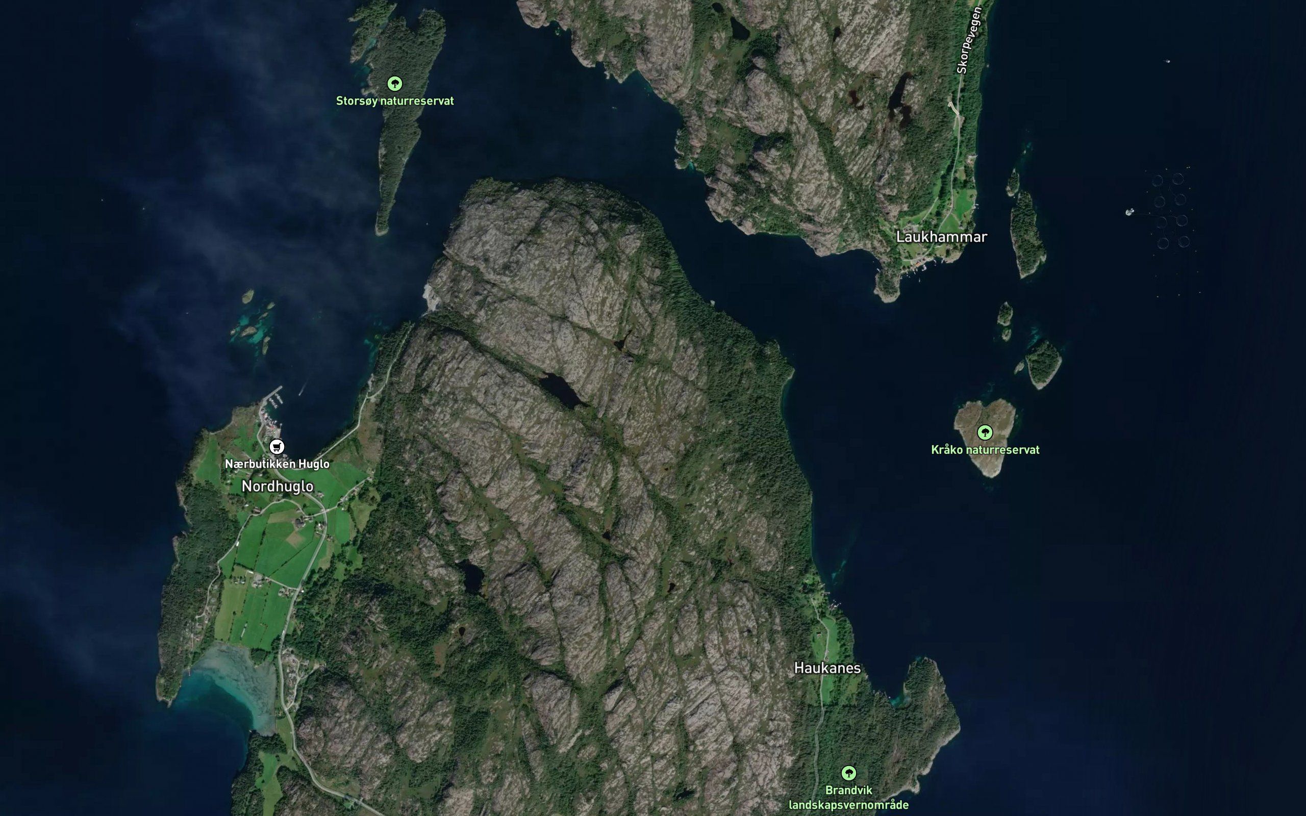 Ringatjorna