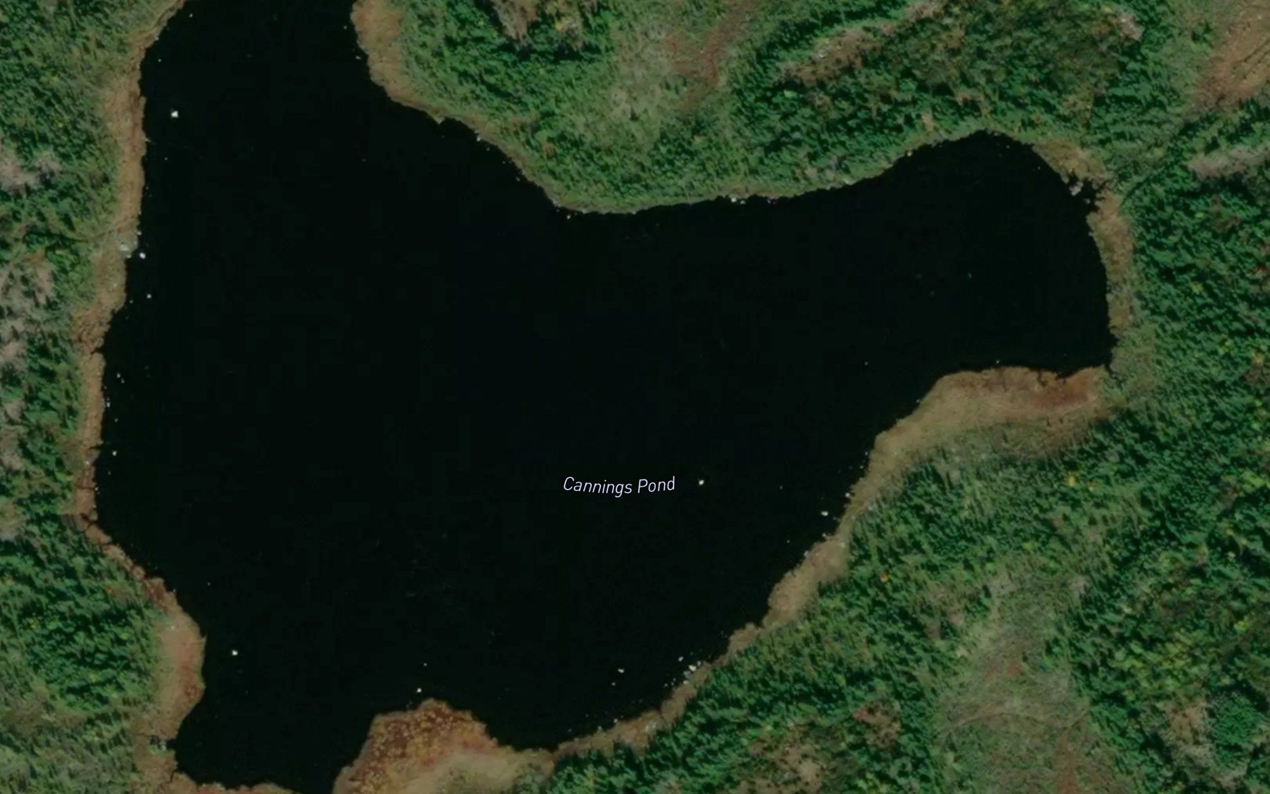 Cannings Pond