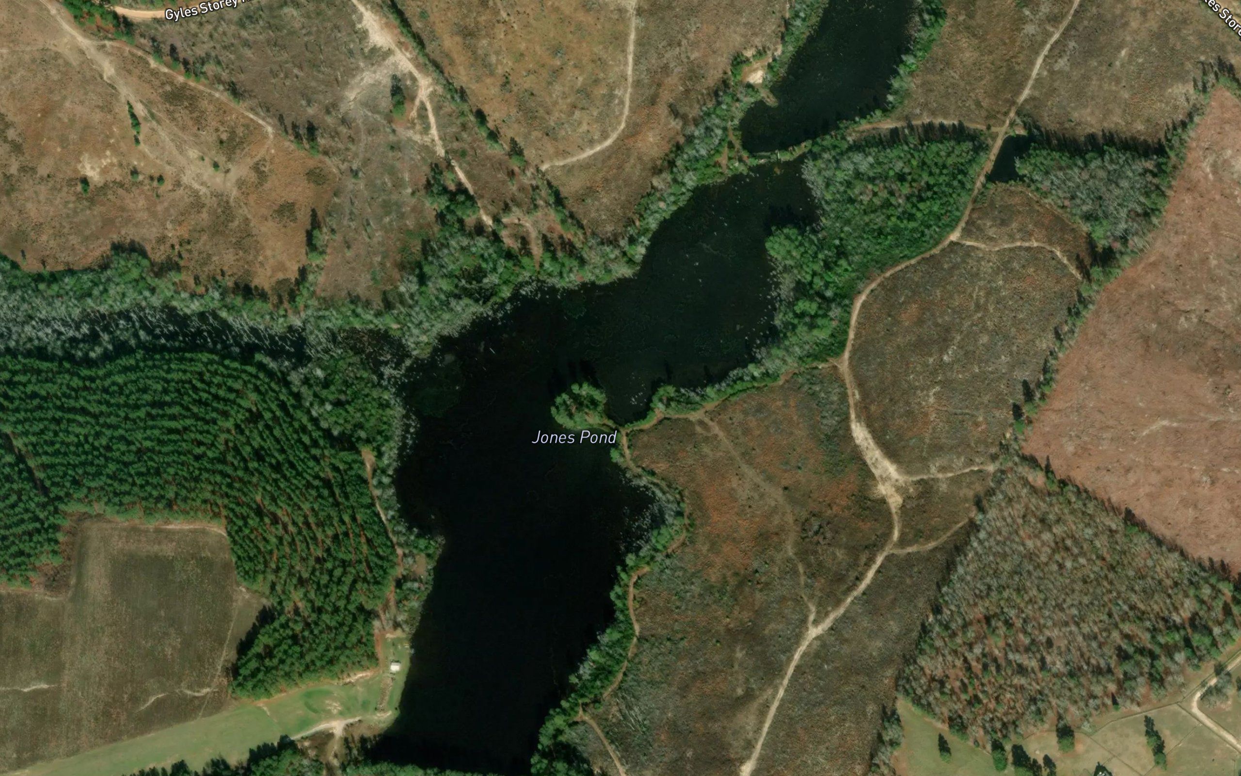 Jones Pond