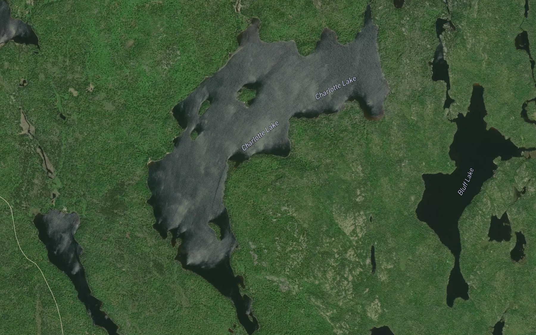 Satellite map of the Charlotte Lake