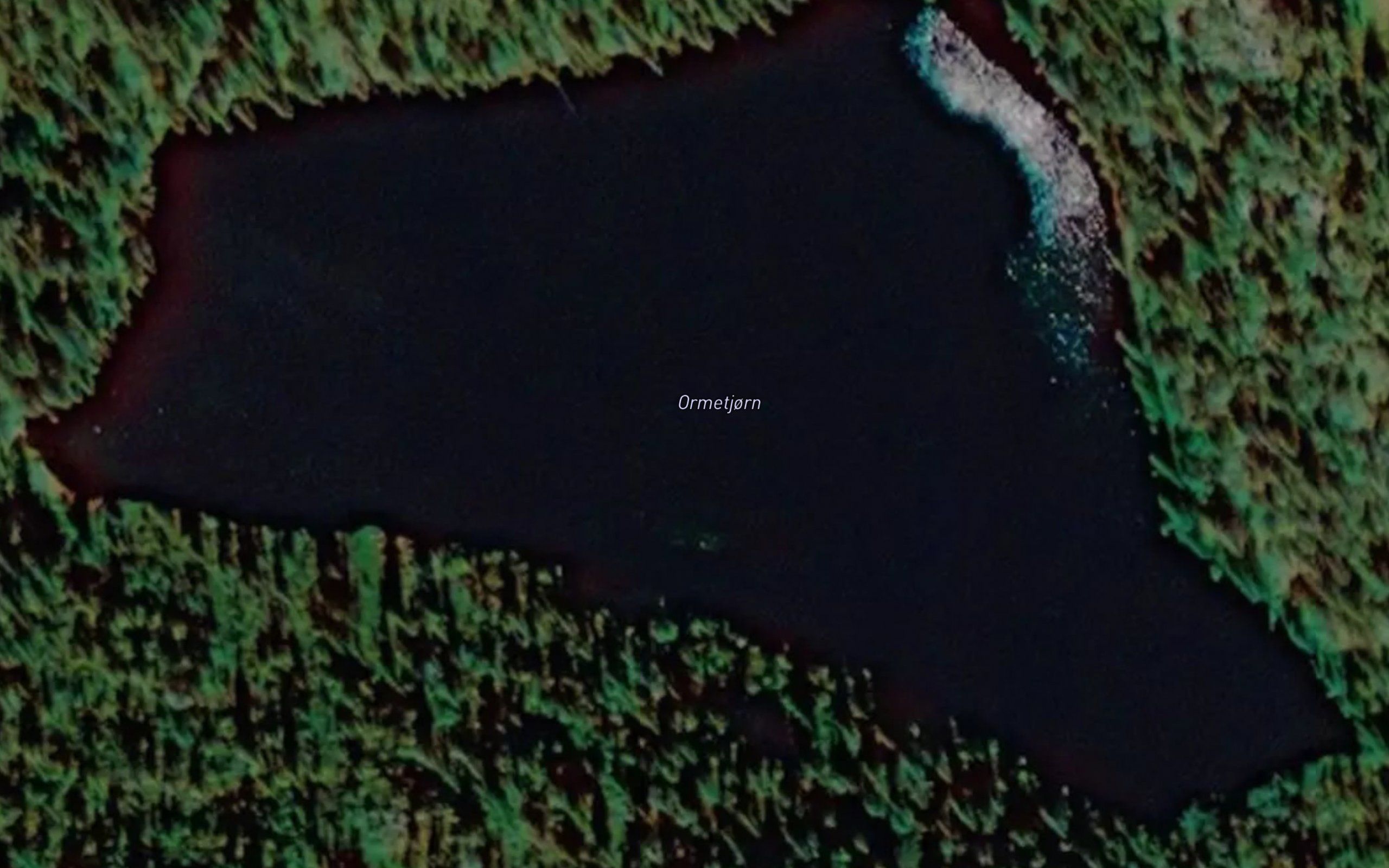 Ormetjorn