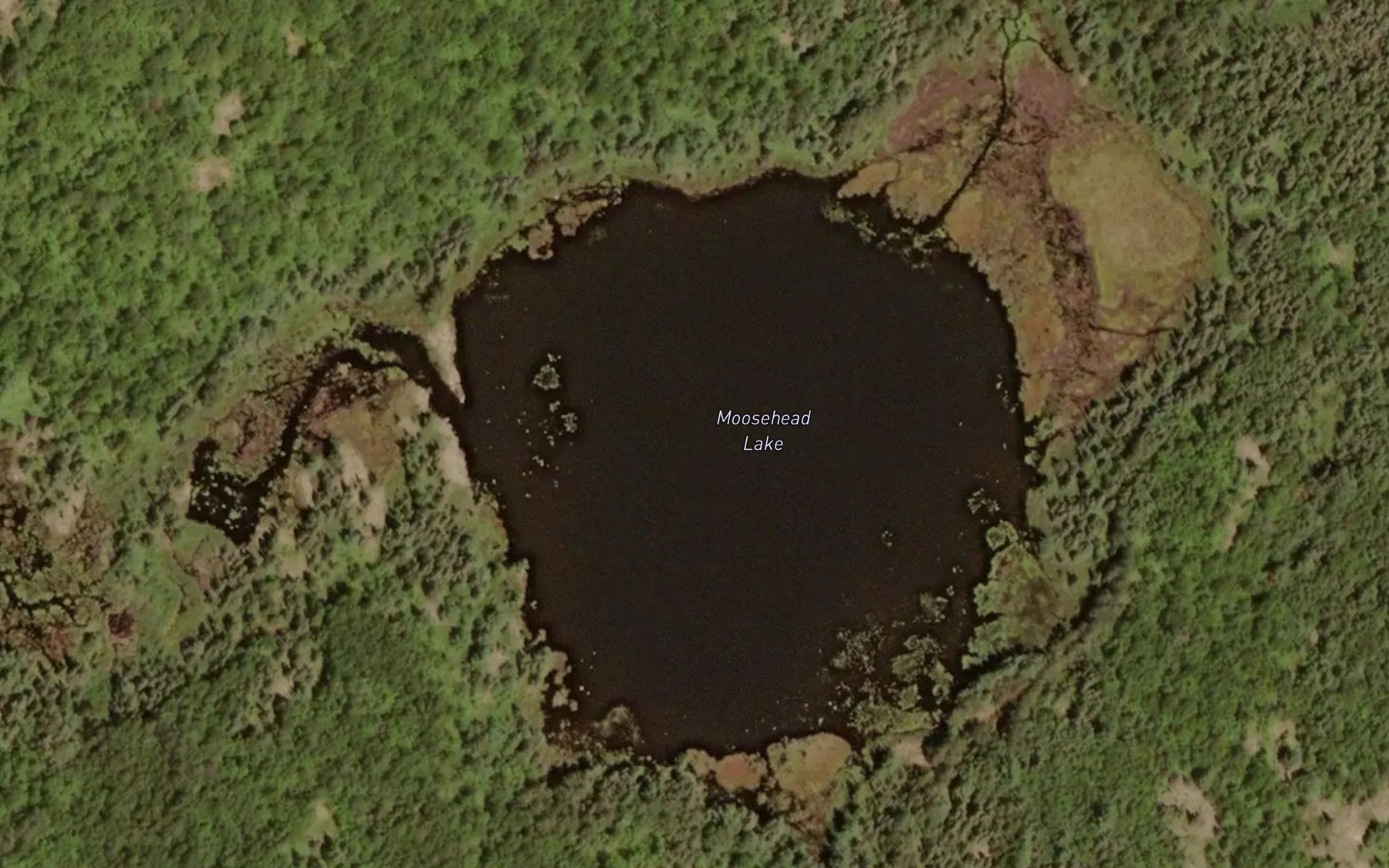 Satellite map of the Moosehead Lake