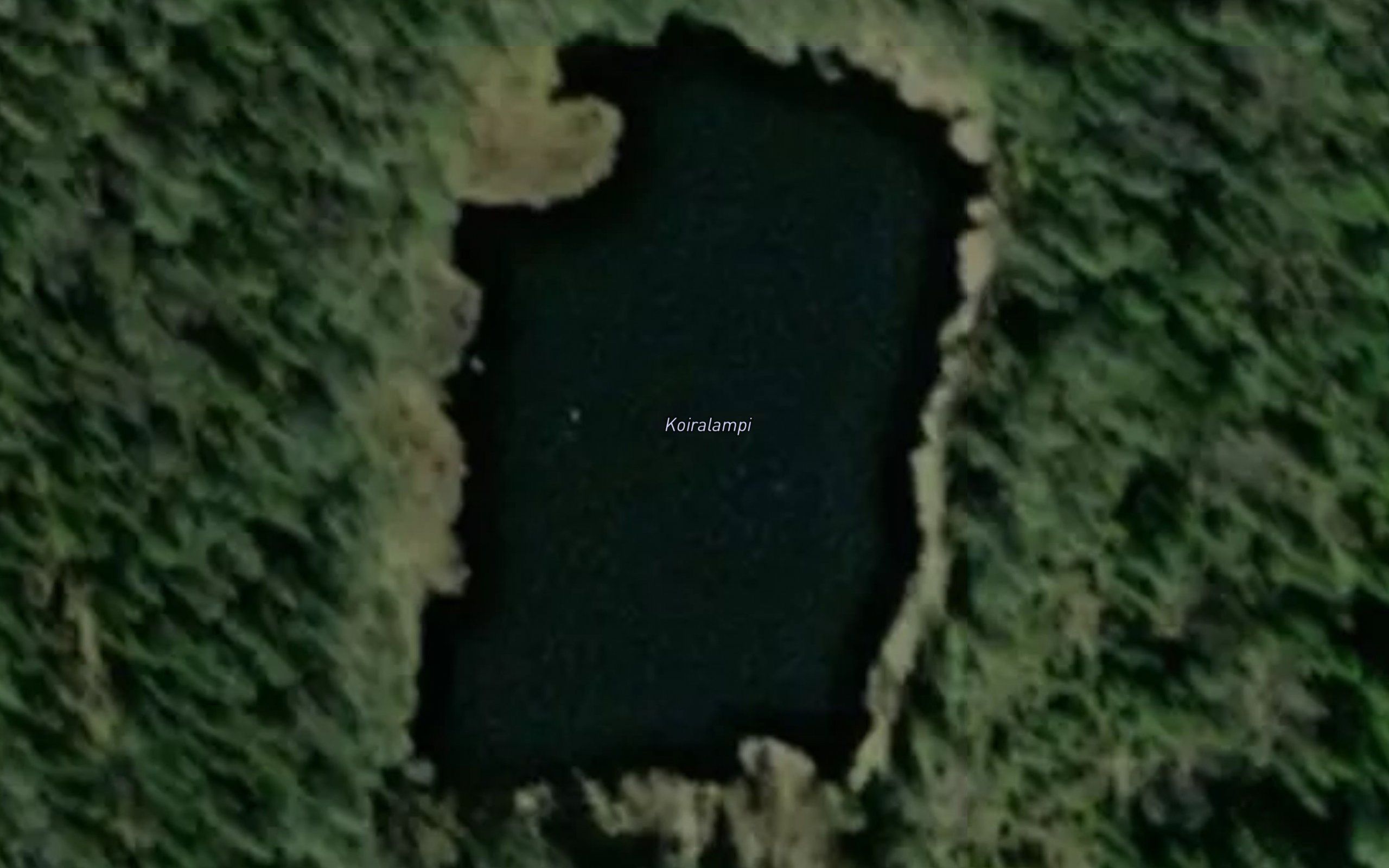 Koiralampi