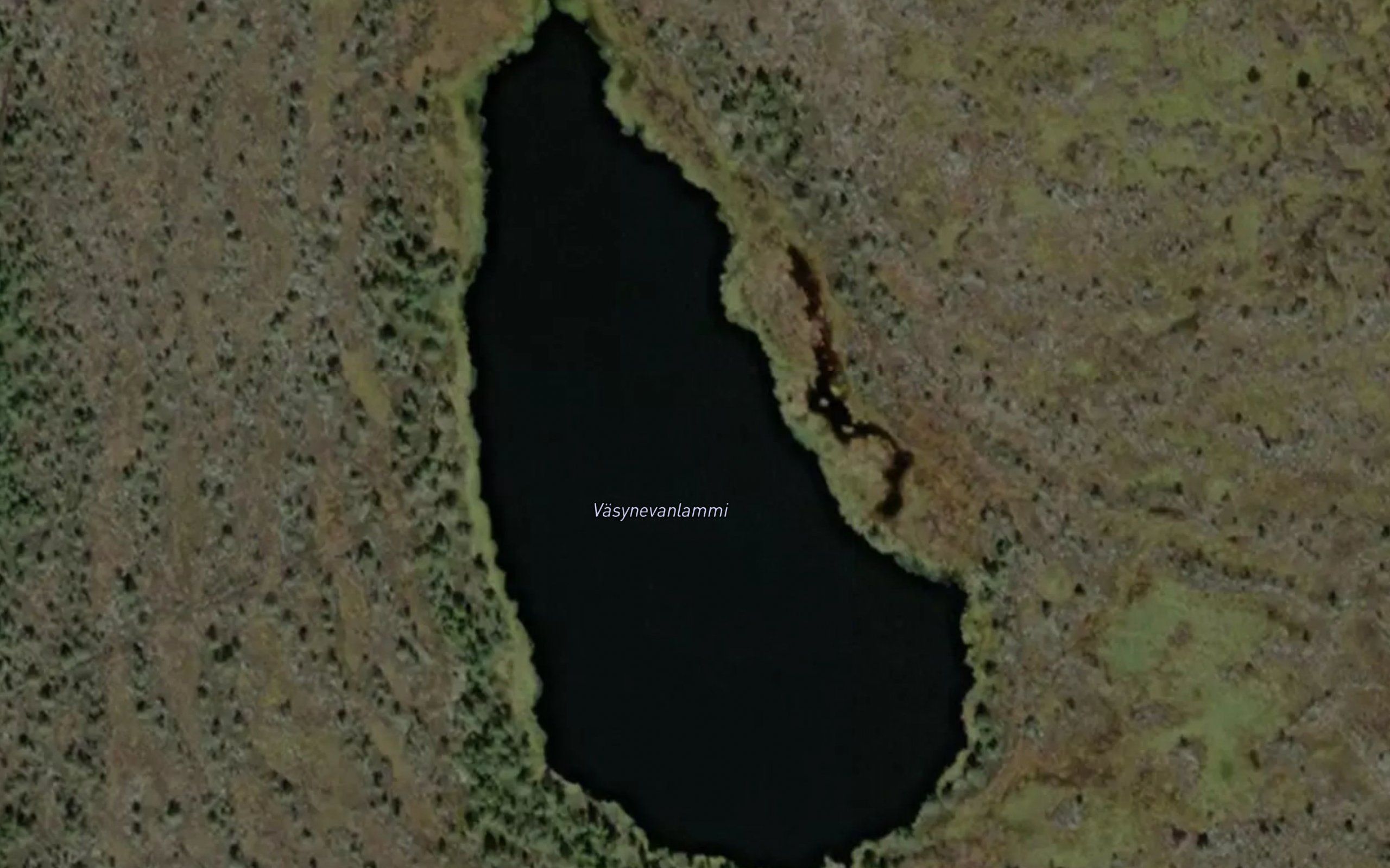 Vasynevanlammi