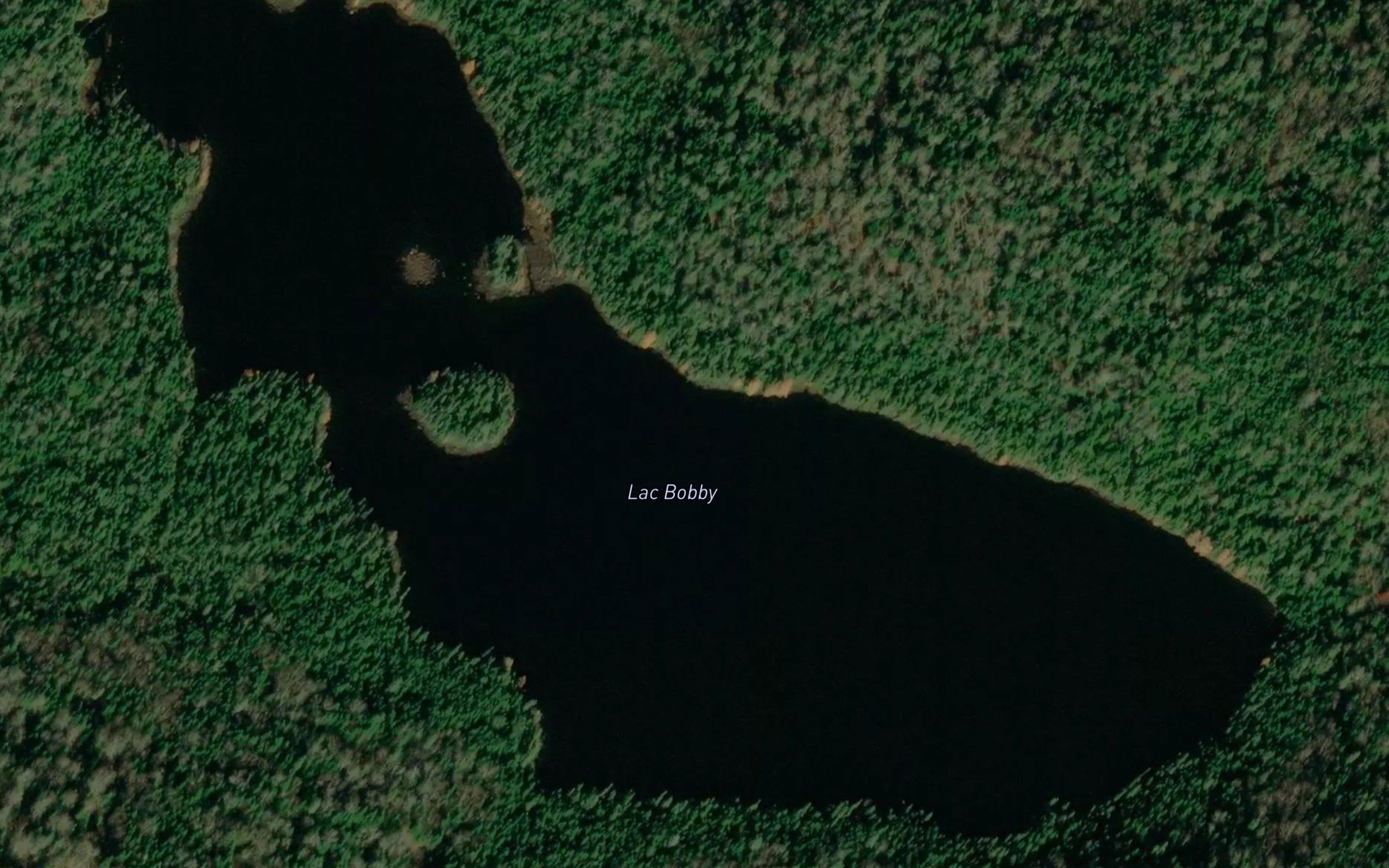 Lac Bobby