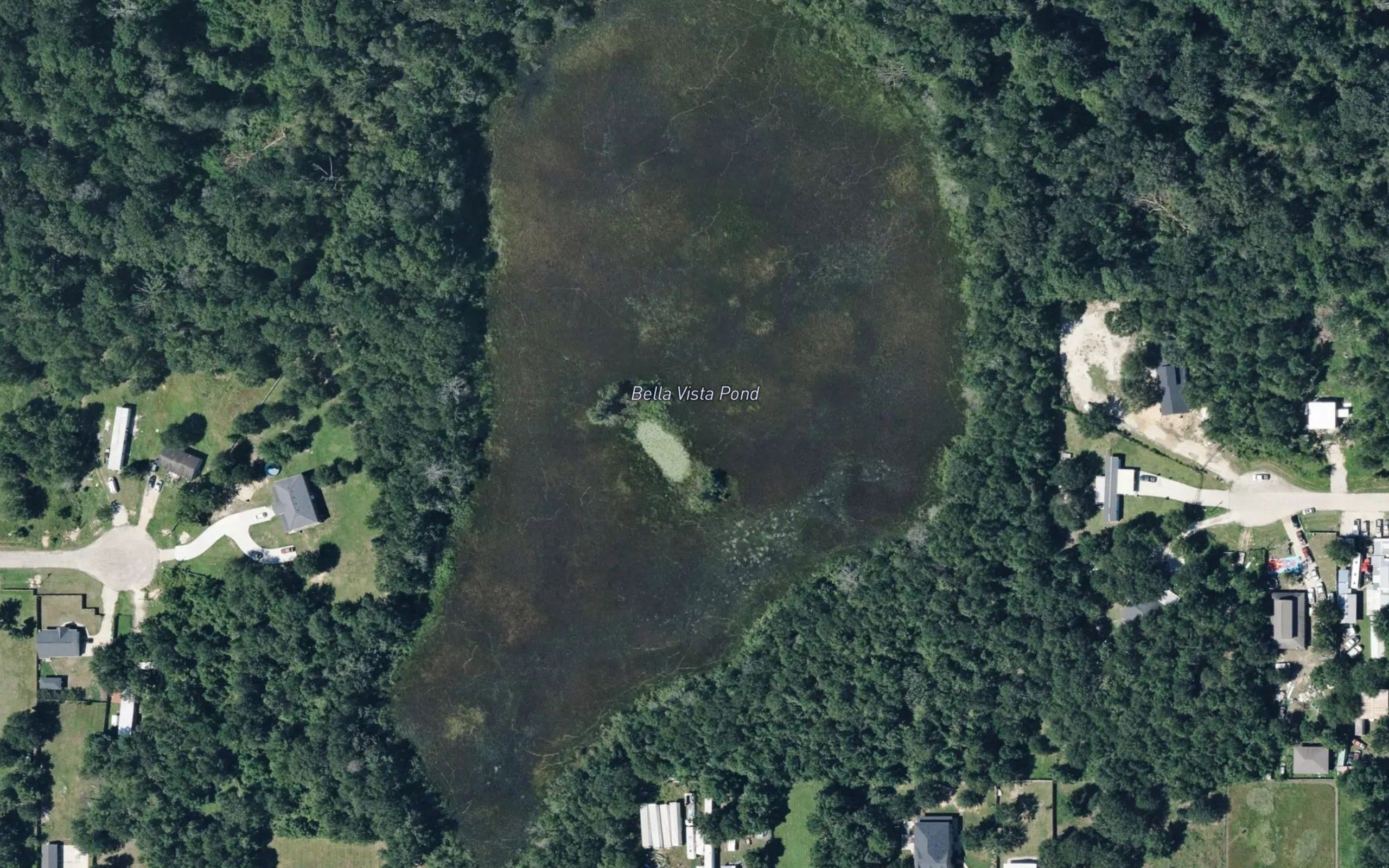Moccasin Pond