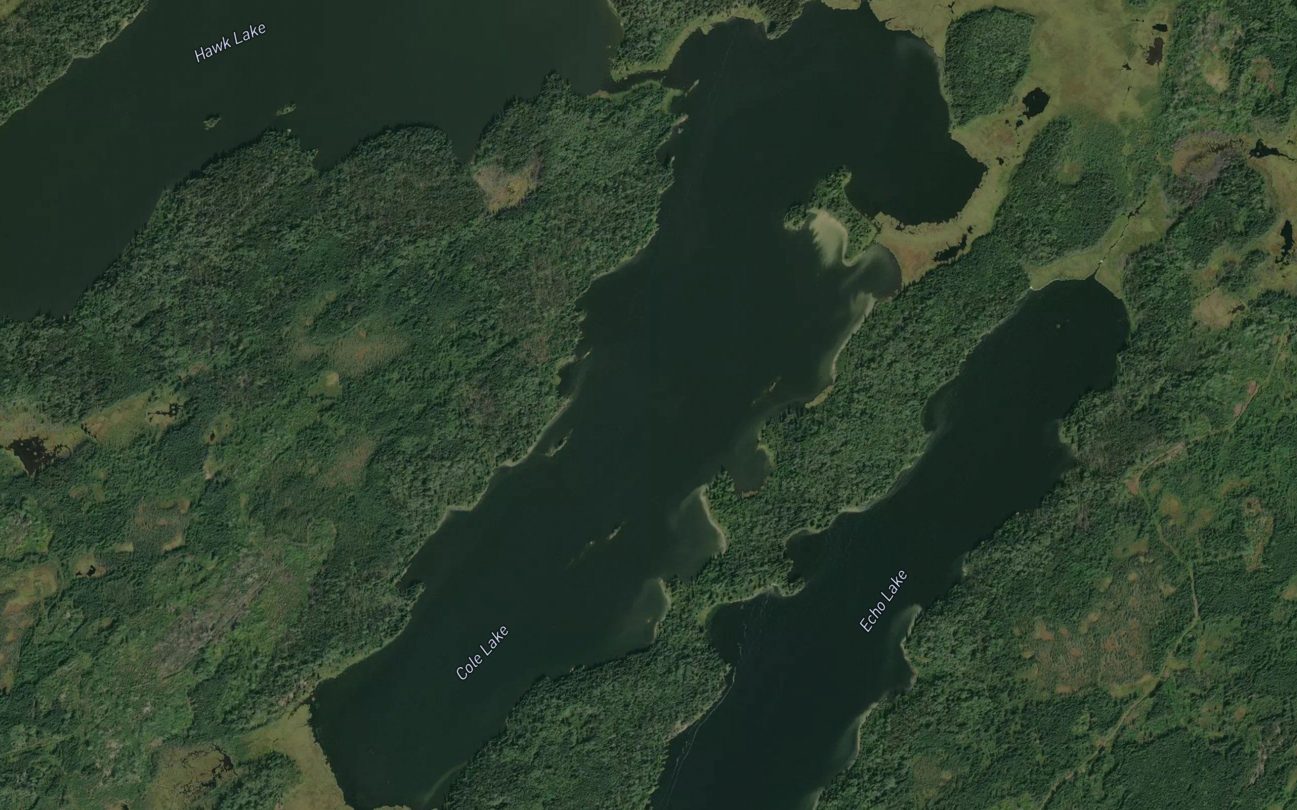 Cole Lake
