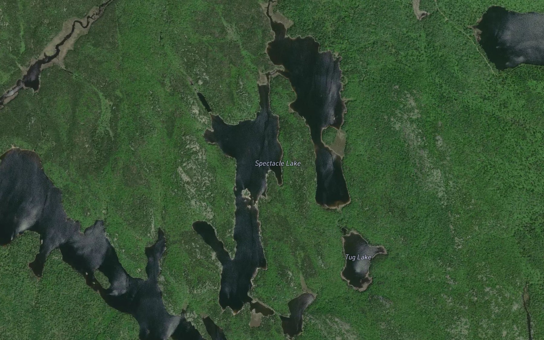 Satellite map of the Spectacle Lake