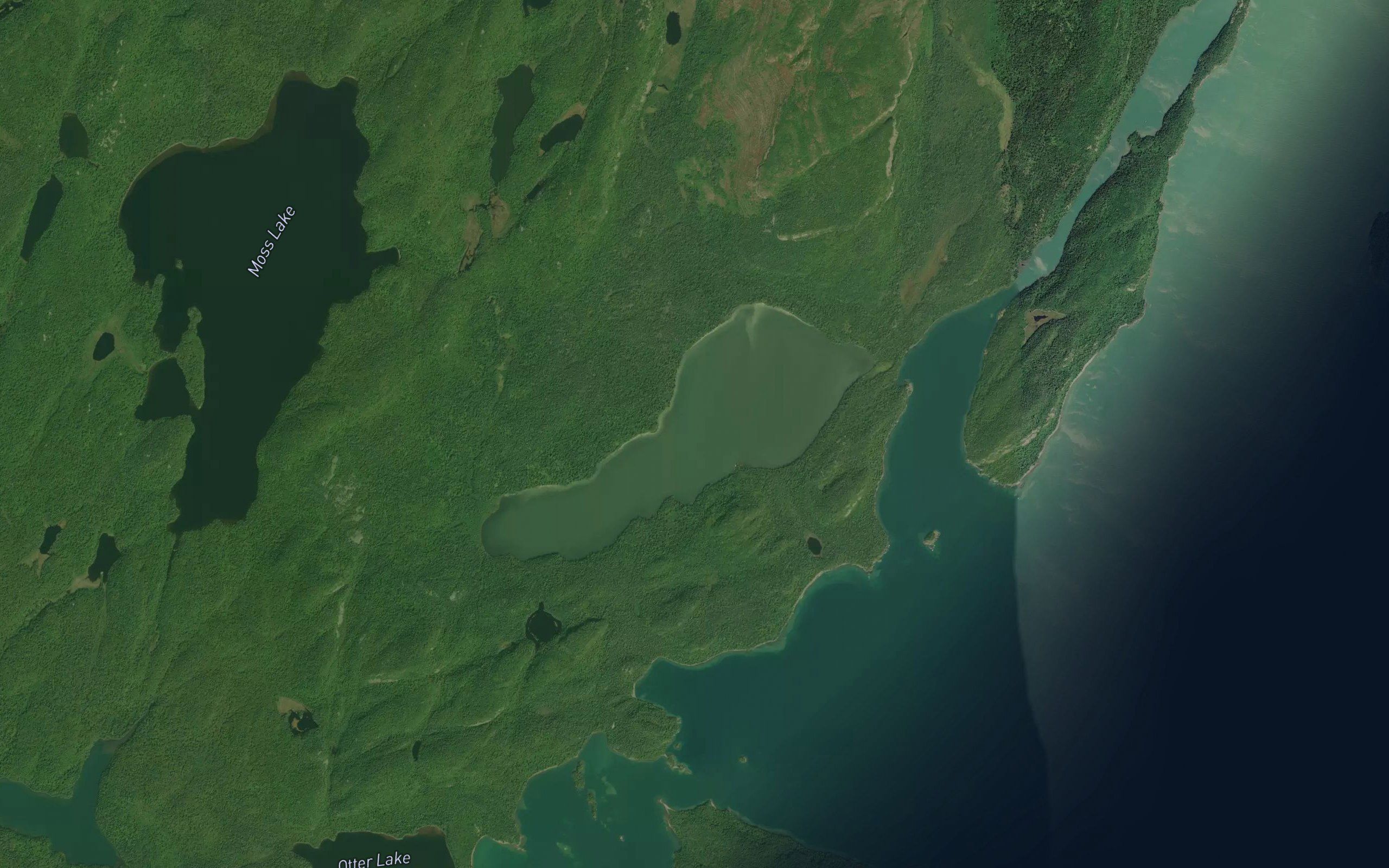Moss Lake