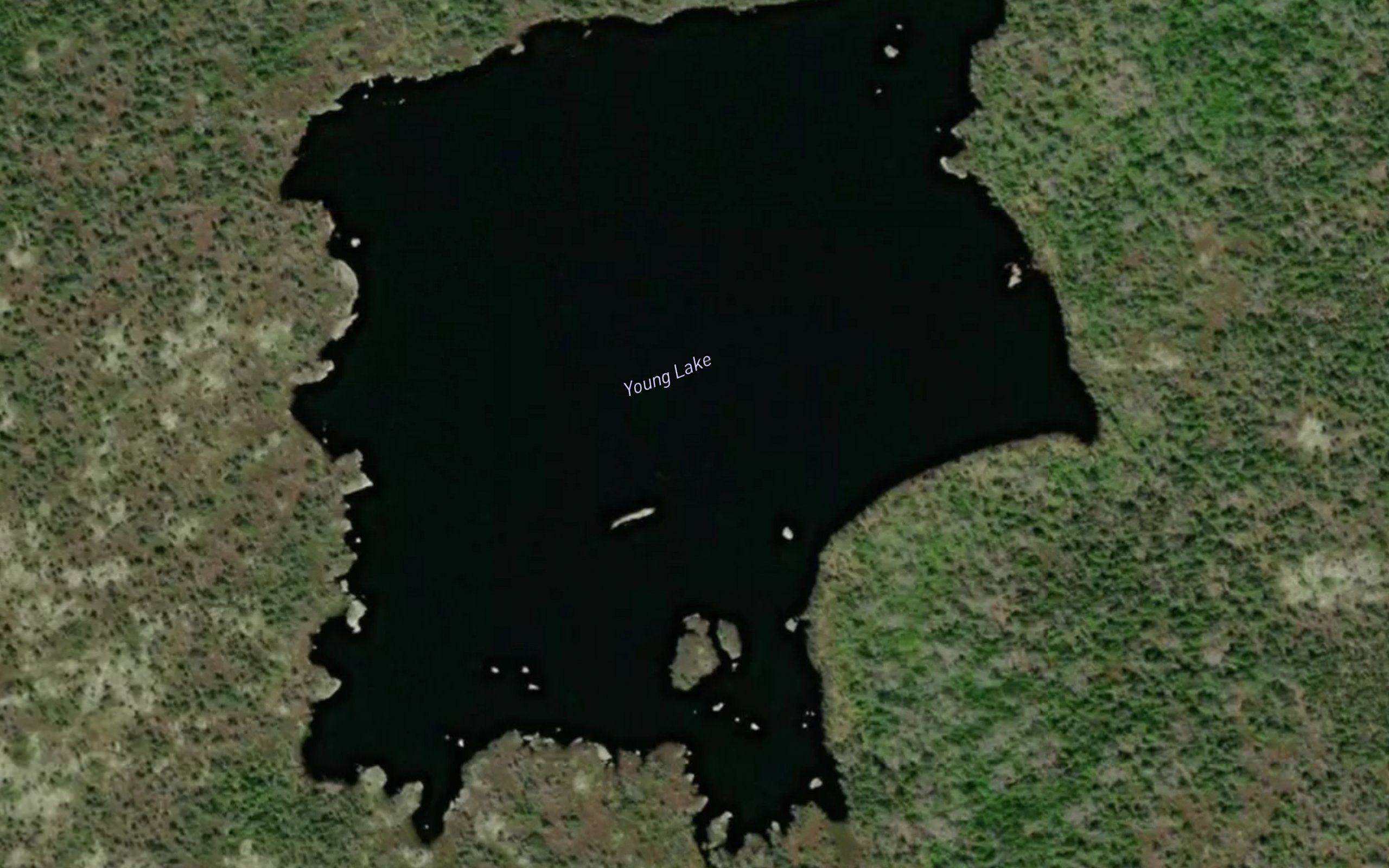 Young Lake