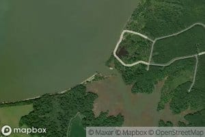 Lower Chippokes Creek