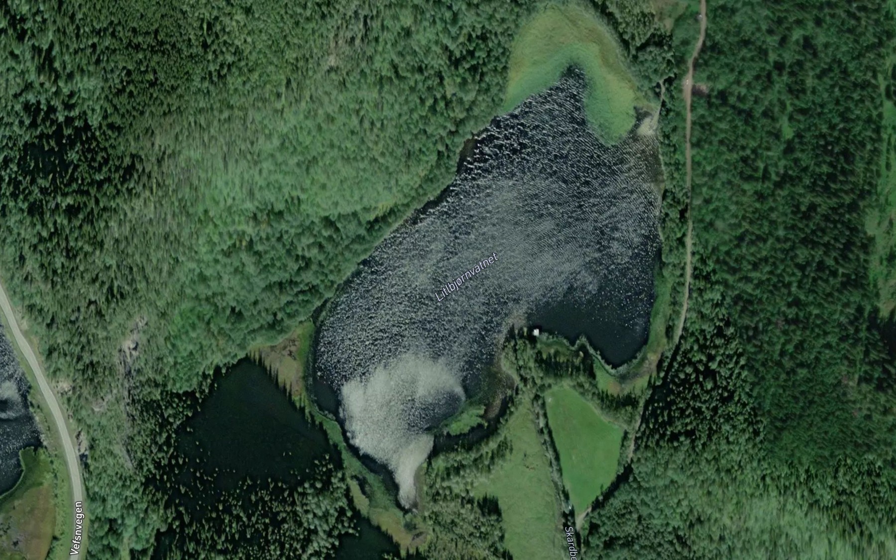 Satellite map of the Litlbjornvatnet