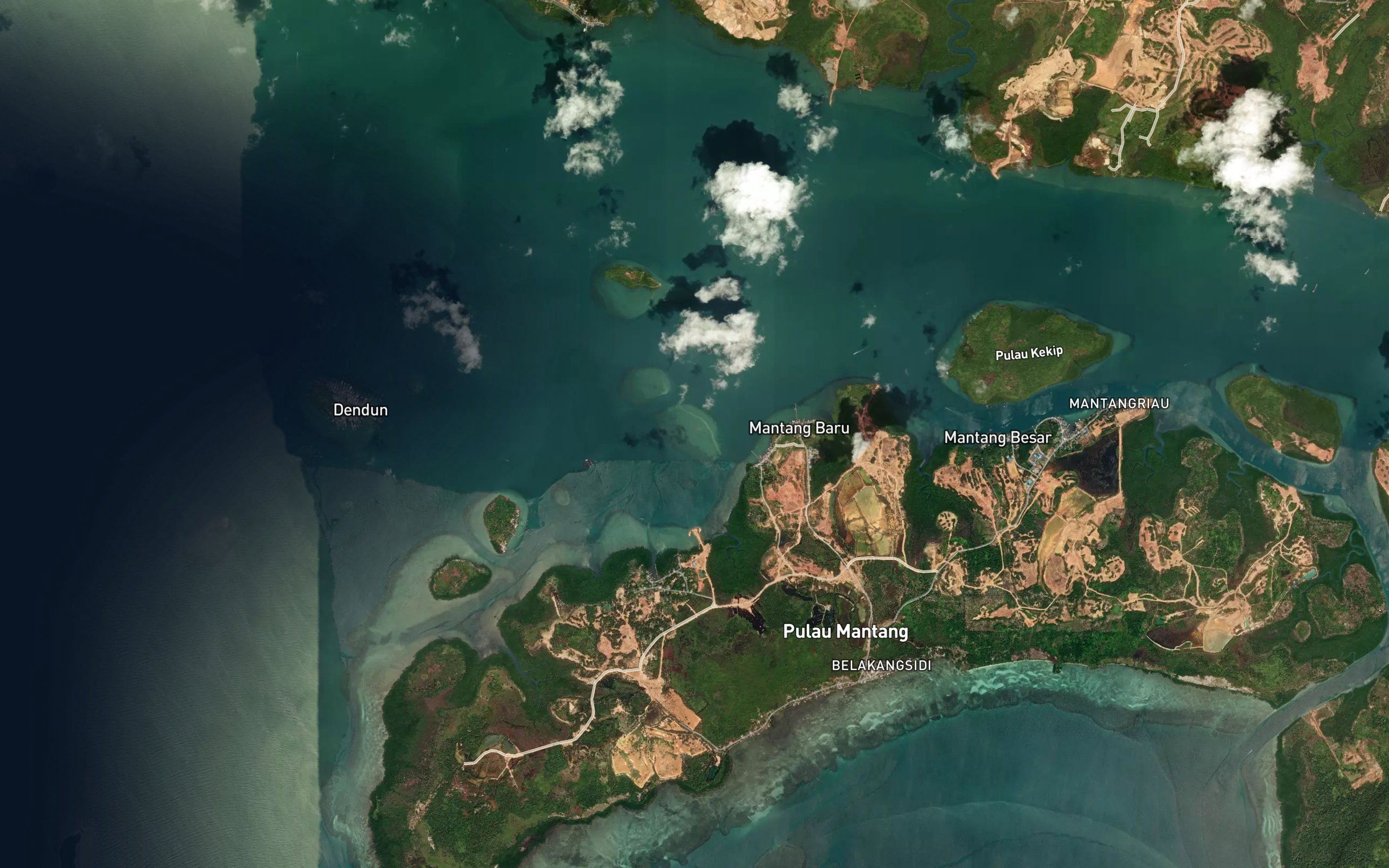 Karang Belantek Laut