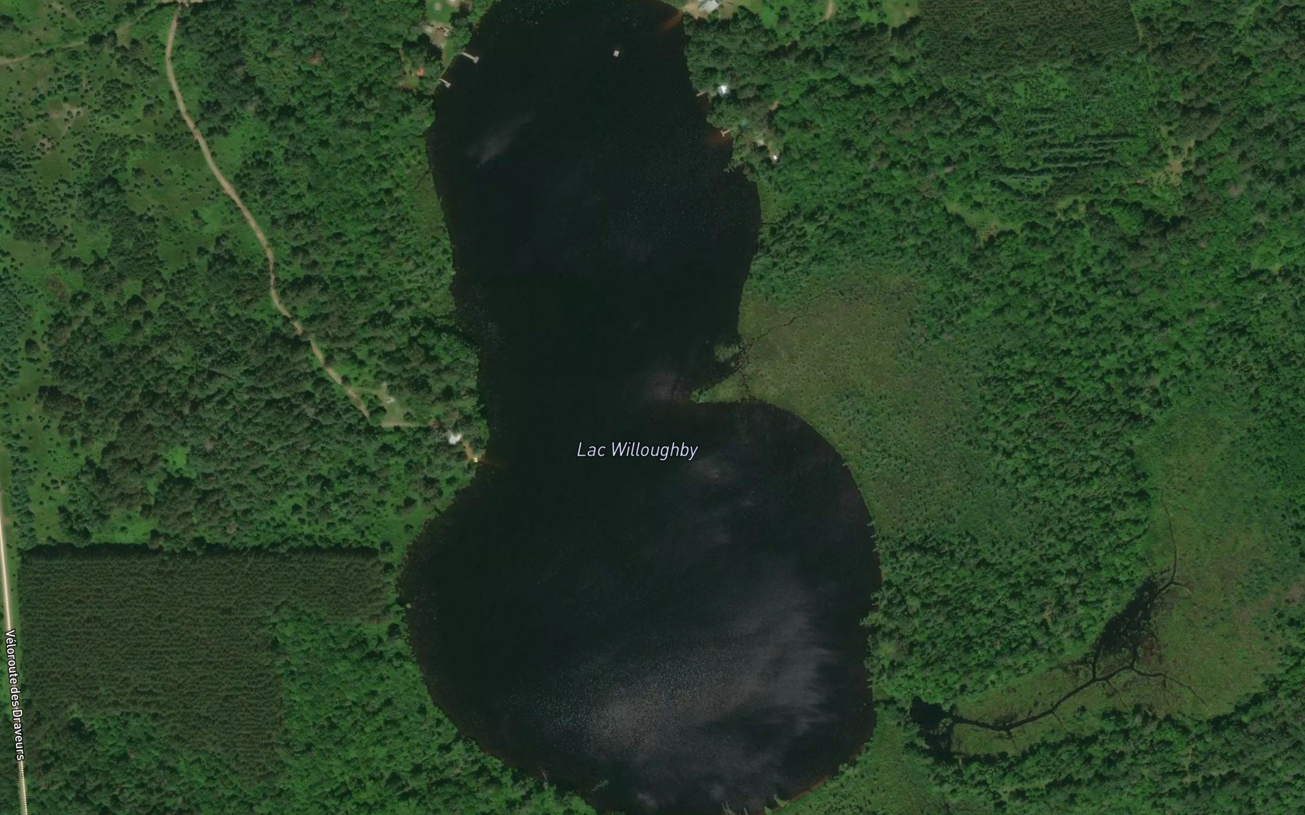 Lac Willoughby