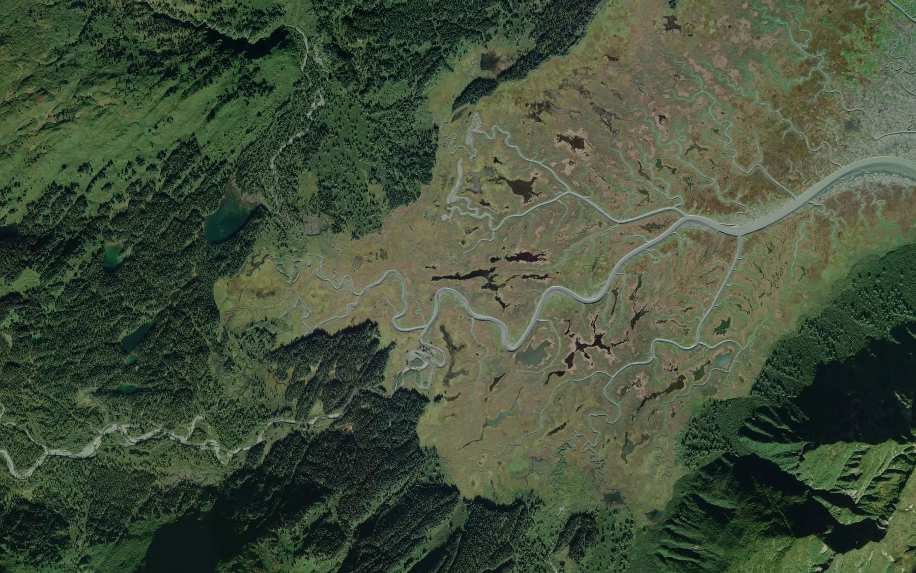 Satellite map of the Chinitna River