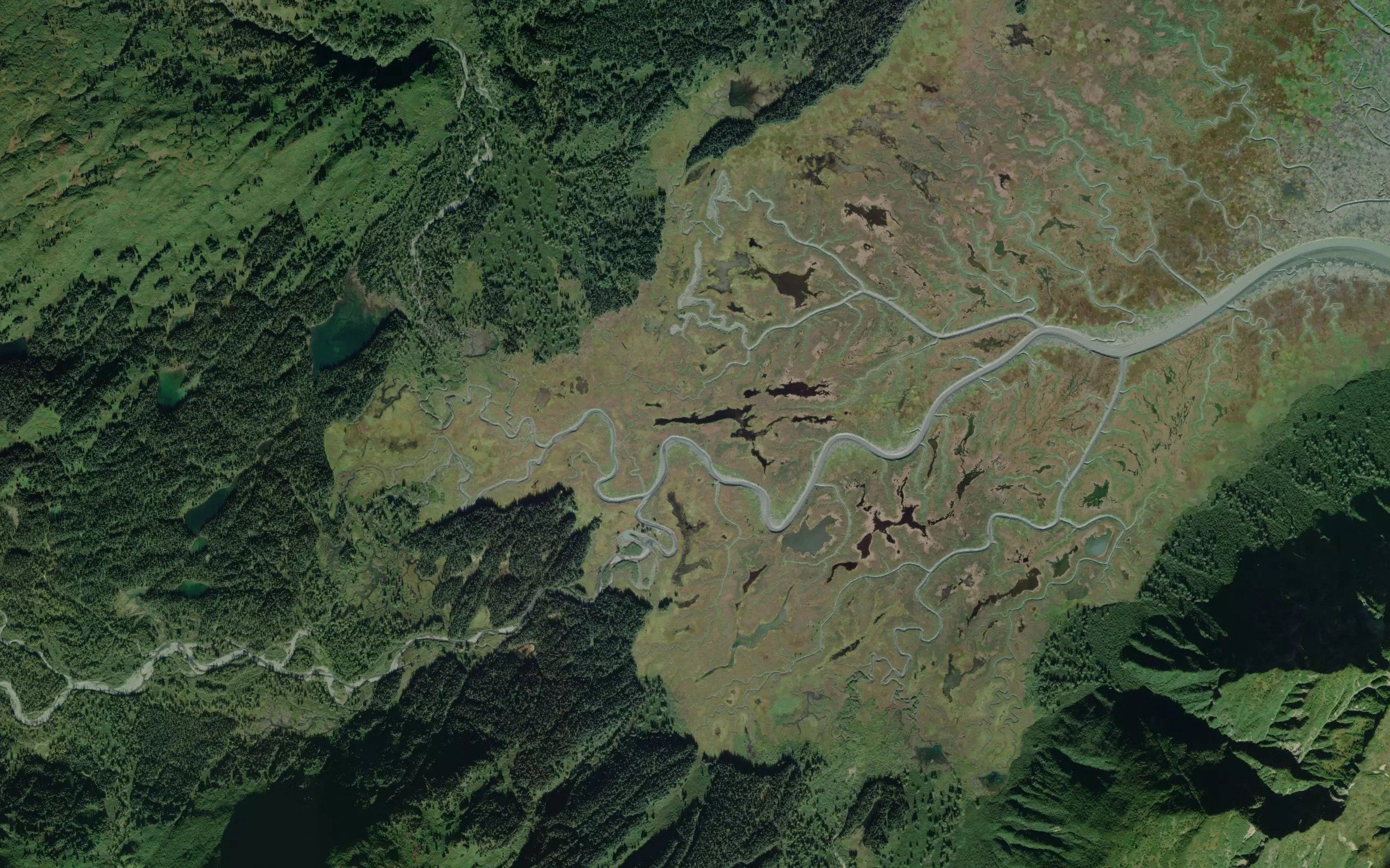 Chinitna River