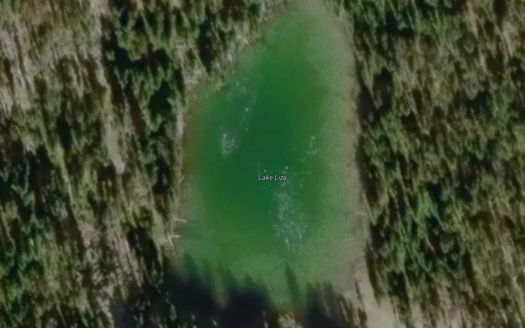 Satellite map of the Lake Liza