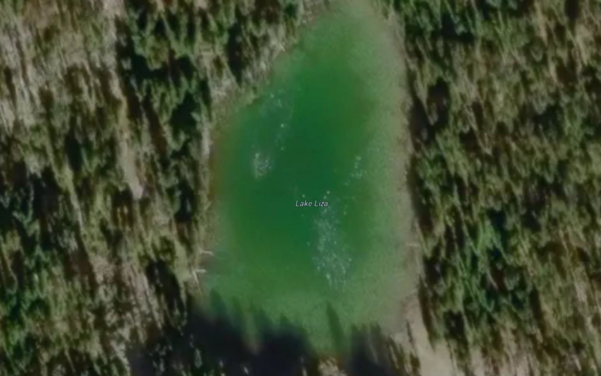 Lake Liza