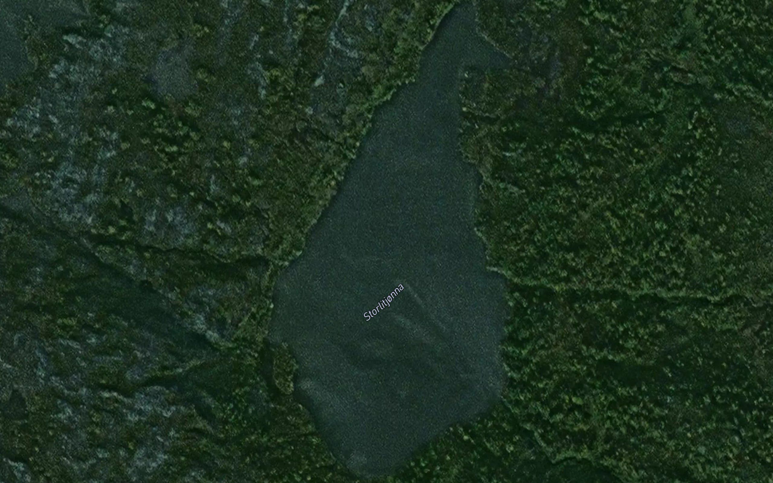 Storlitjorna