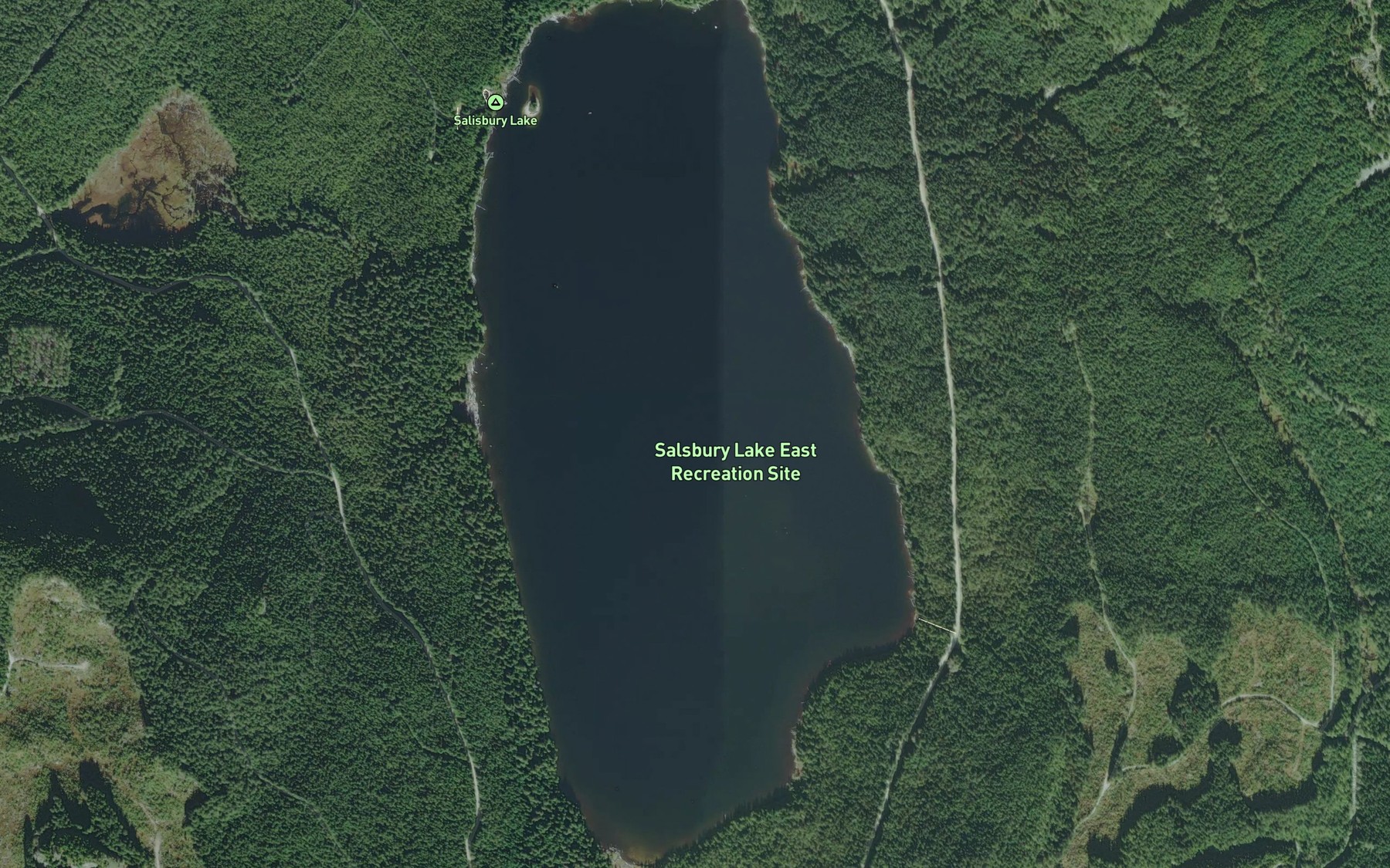 Satellite map of the Salsbury Lake