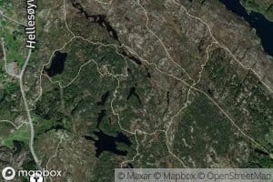 Badetjorna