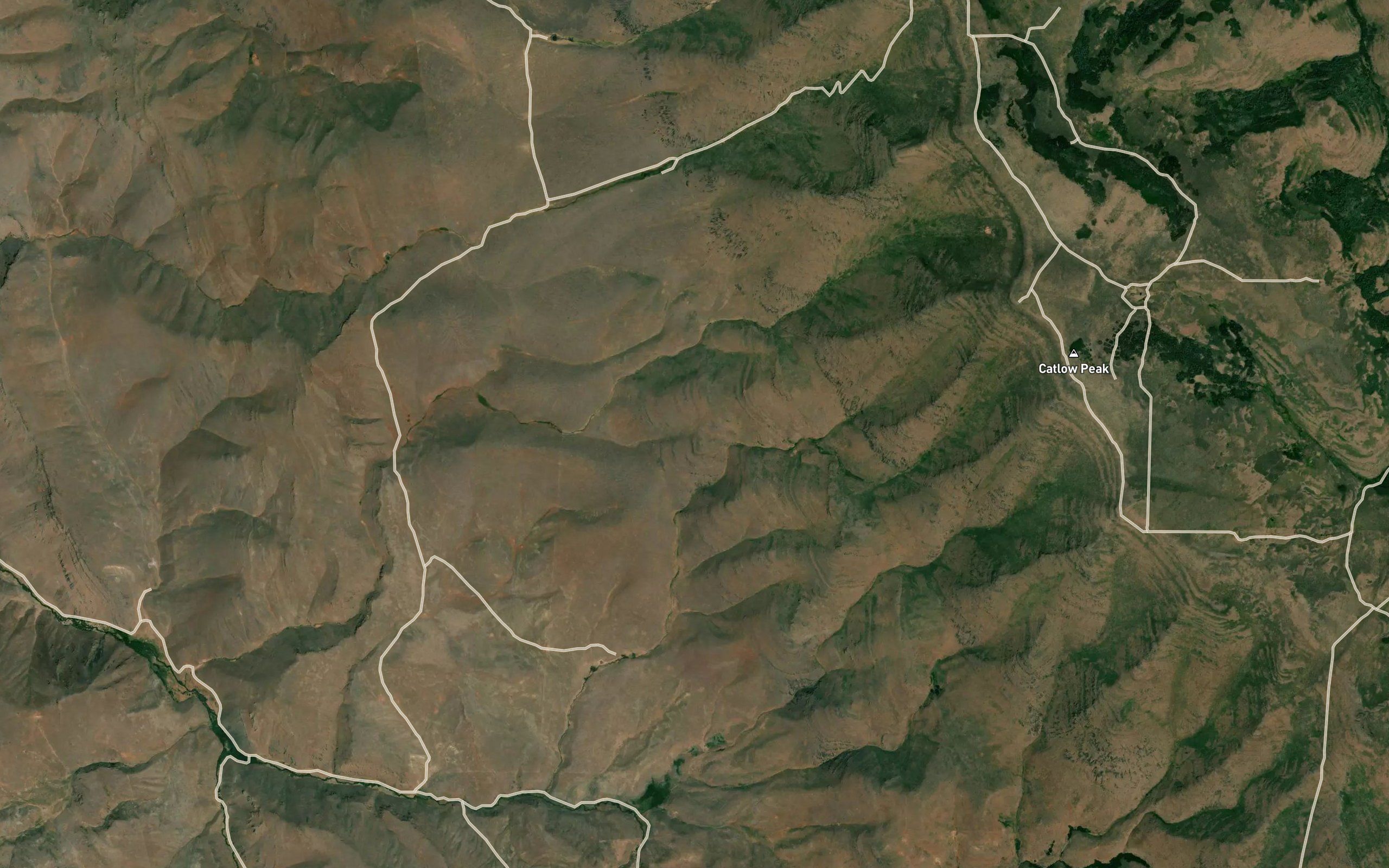 Burro Spring