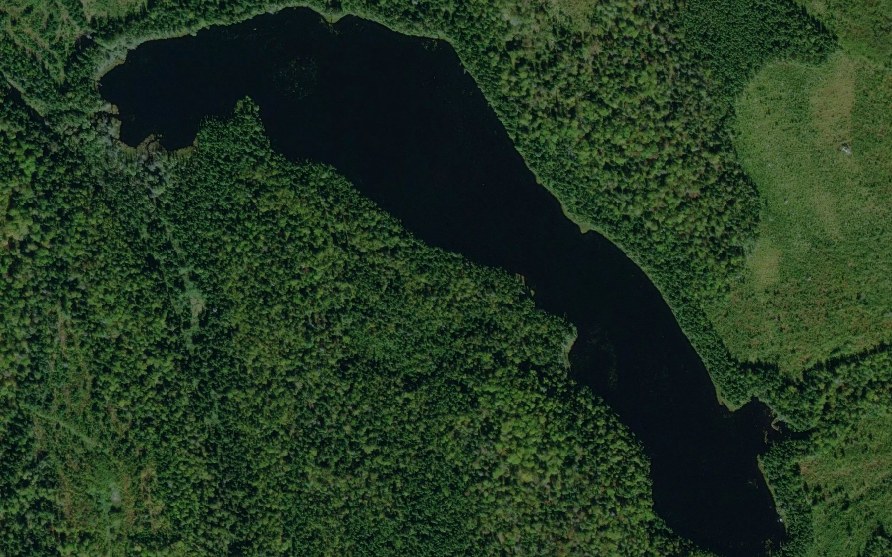 Satellite map of the Lac Babine