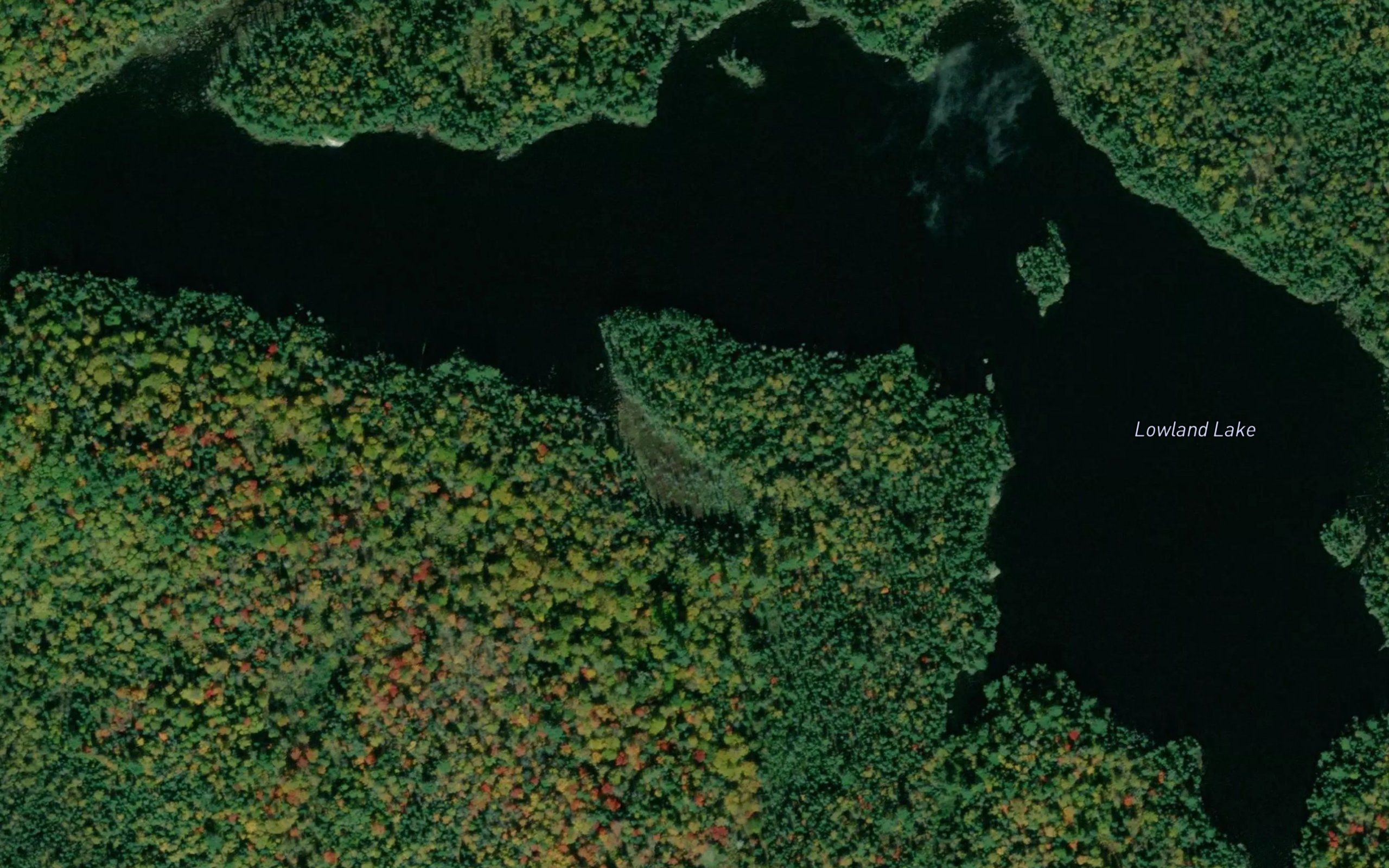 Lowland Lake