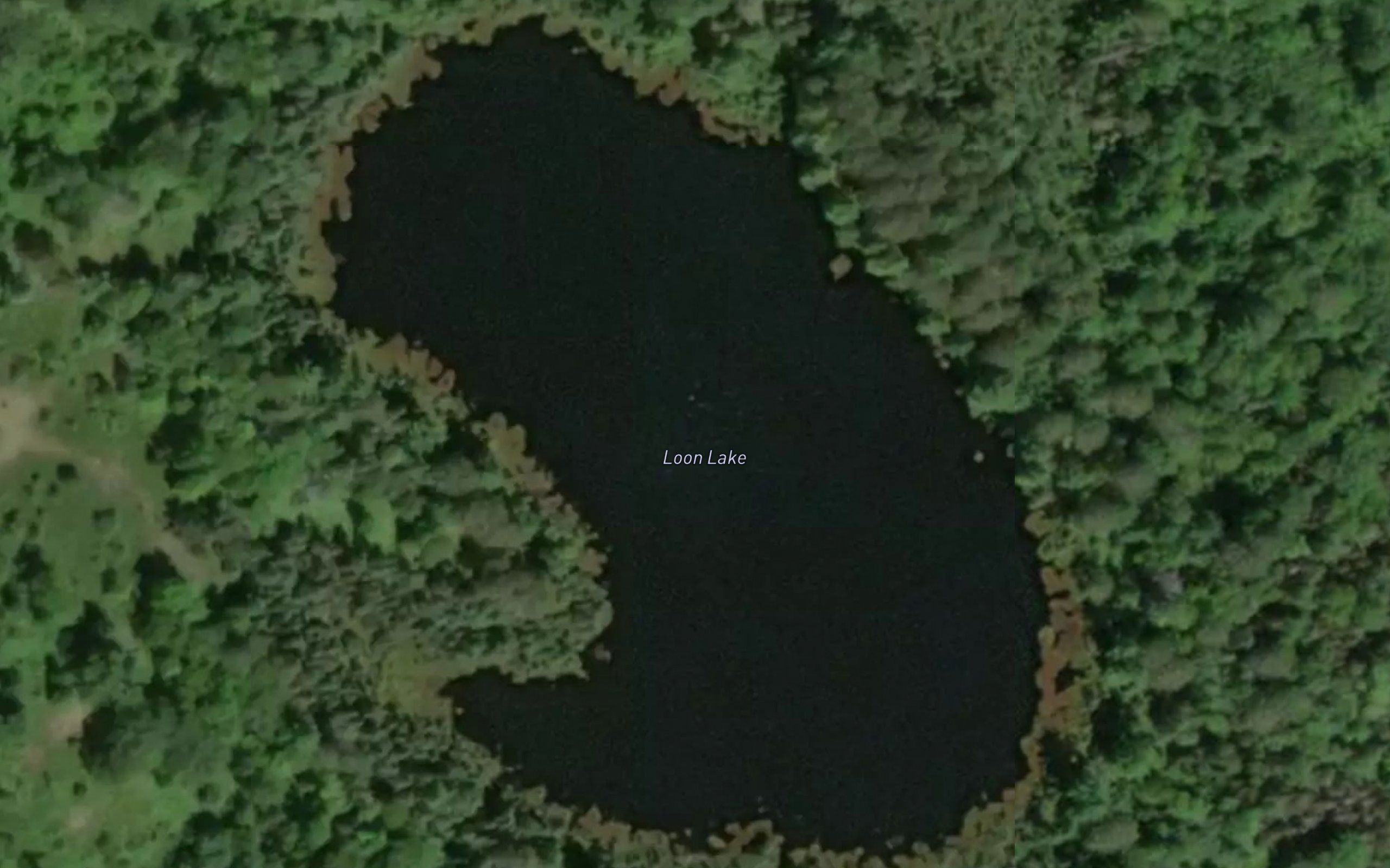 Loon Lake