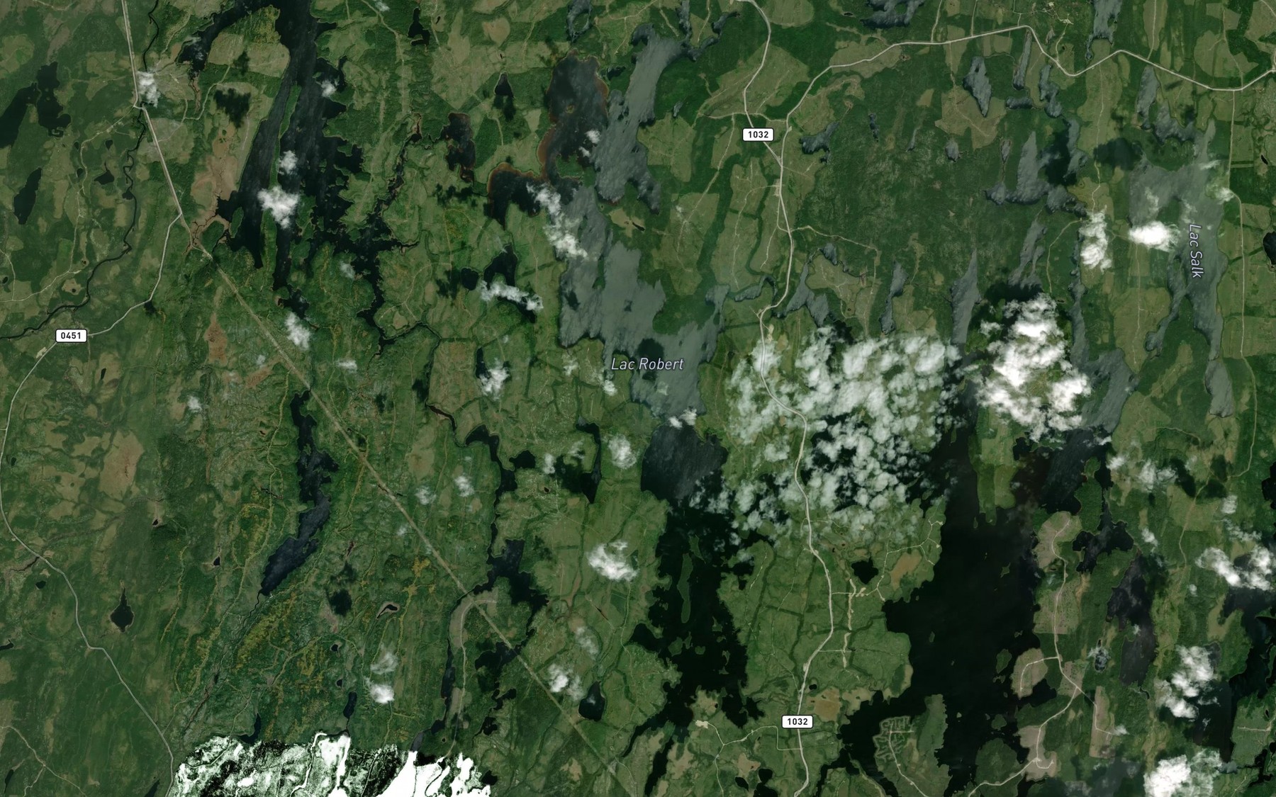 Satellite map of the Lac Robert