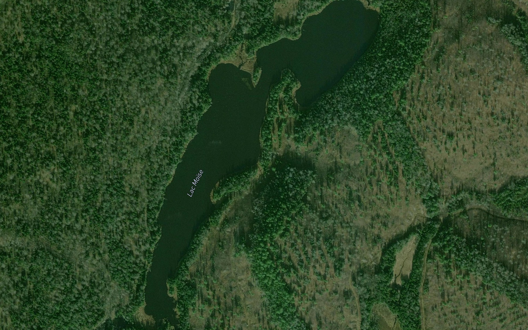 Satellite map of the Lac Moise