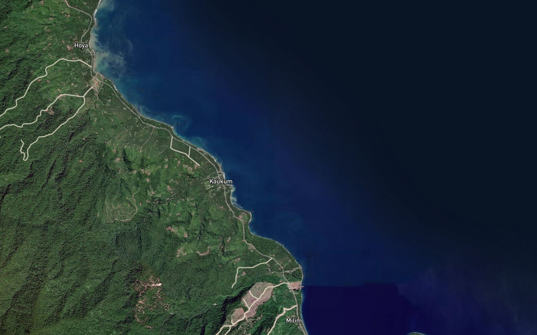 Satellite map of the Watok River