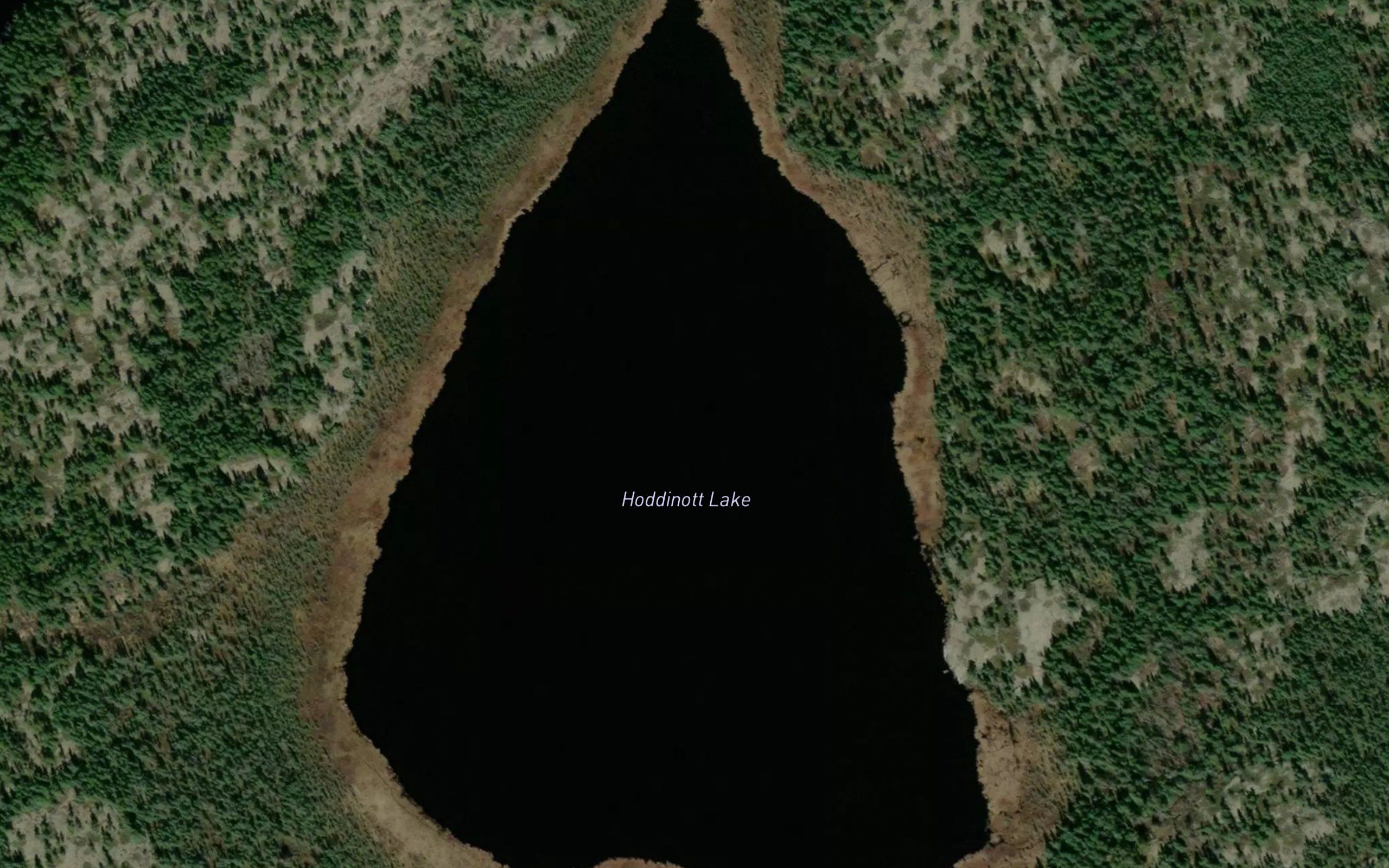 Hoddinott Lake