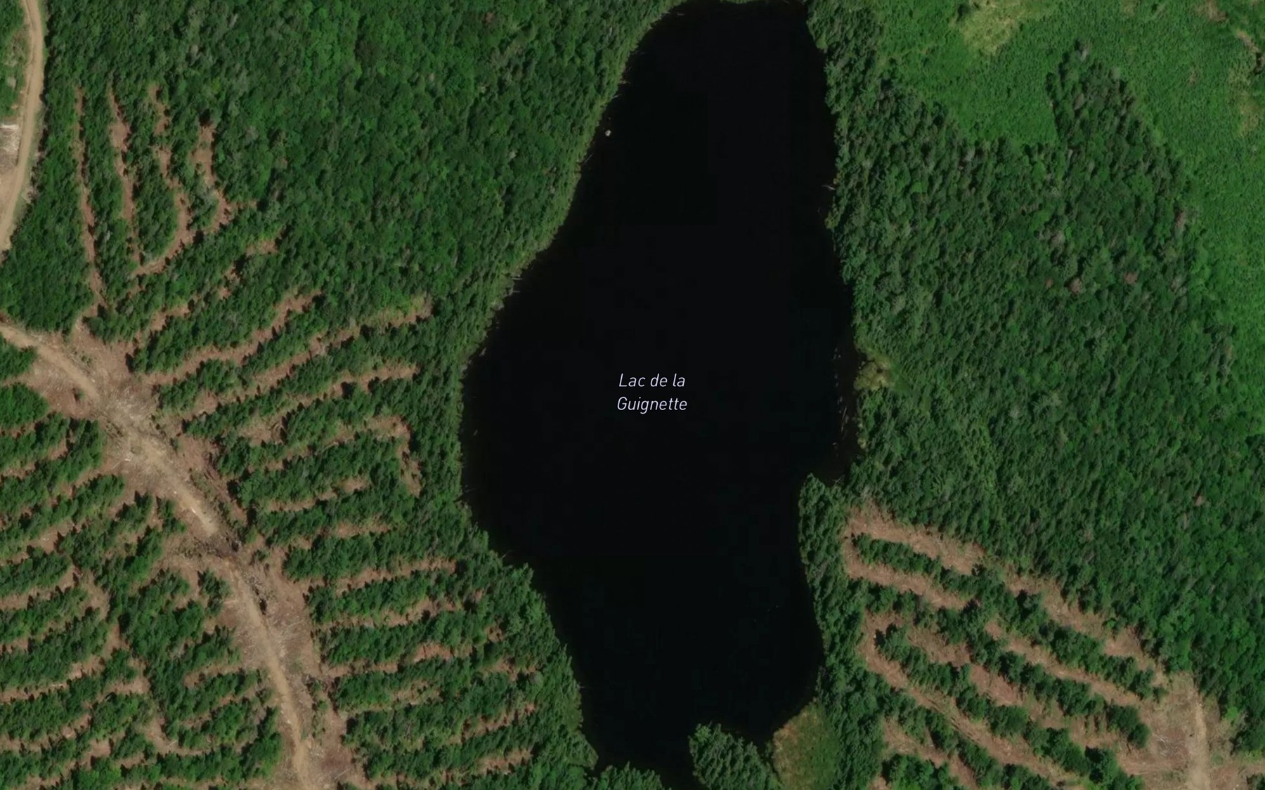 Satellite map of the Lac de la Guignette