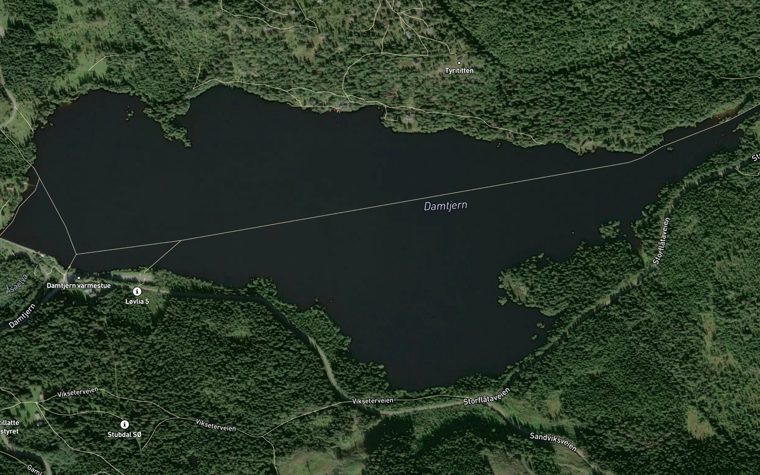 Damtjernet