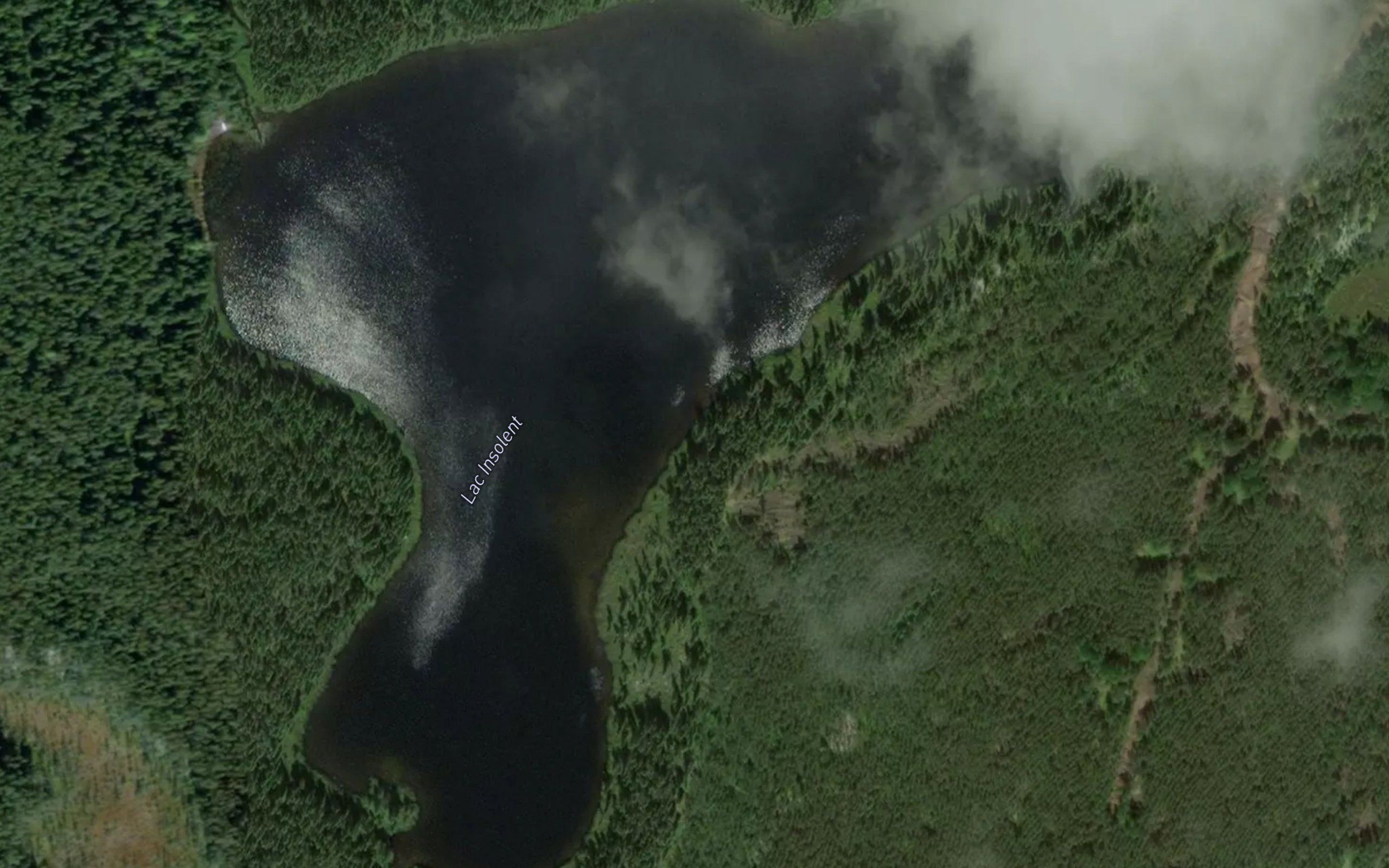 Lac Insolent