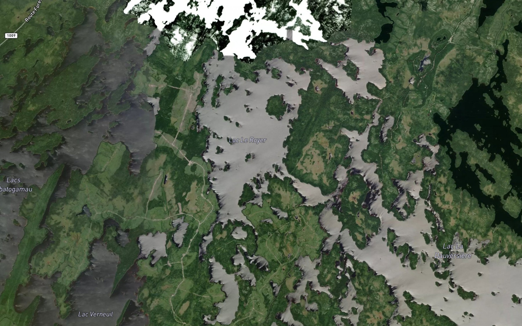Satellite map of the Lac Le Royer
