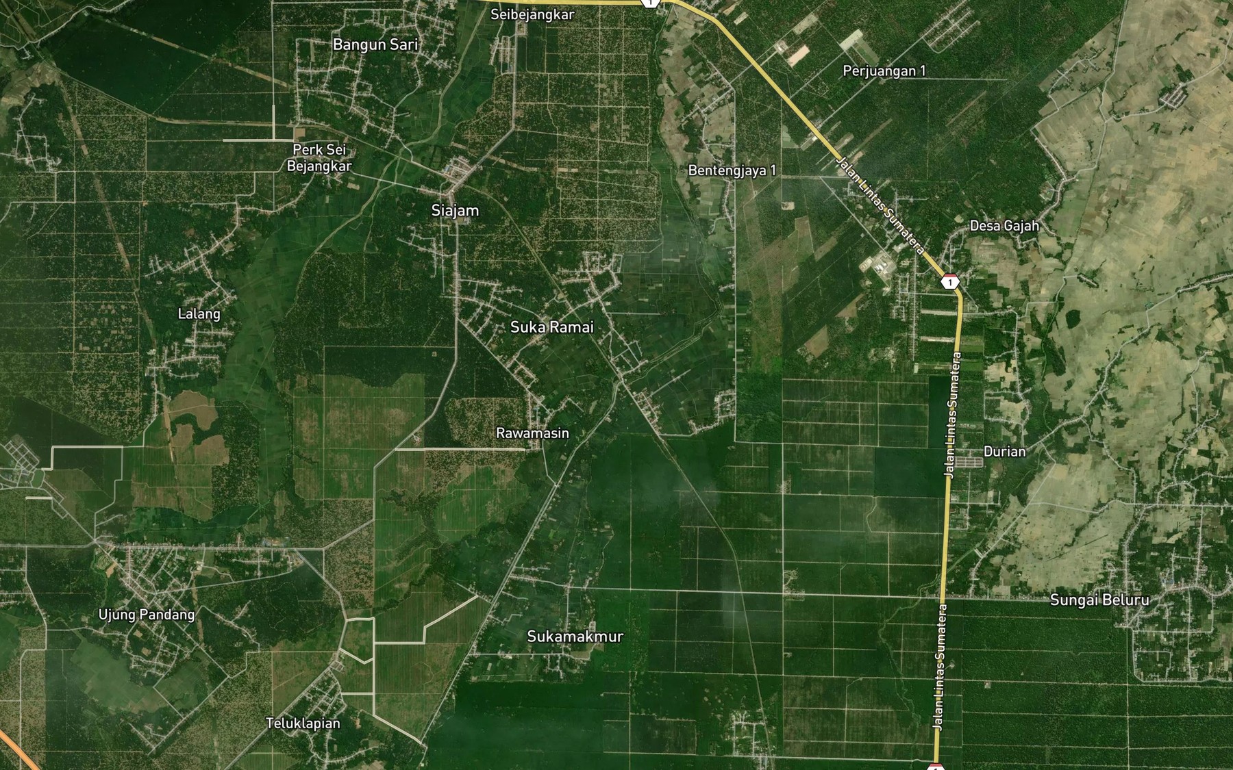 Satellite map of the Sungai Silau Tua