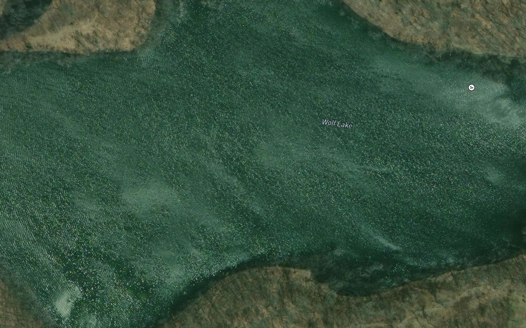 Satellite map of the Wolf Lake