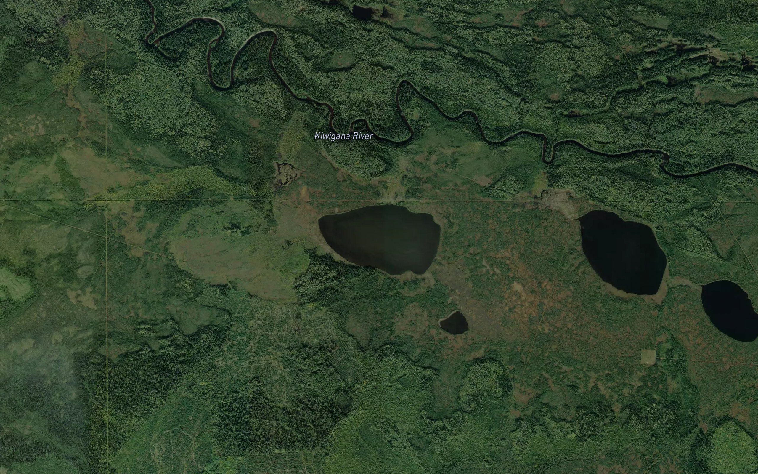 Lake Carole