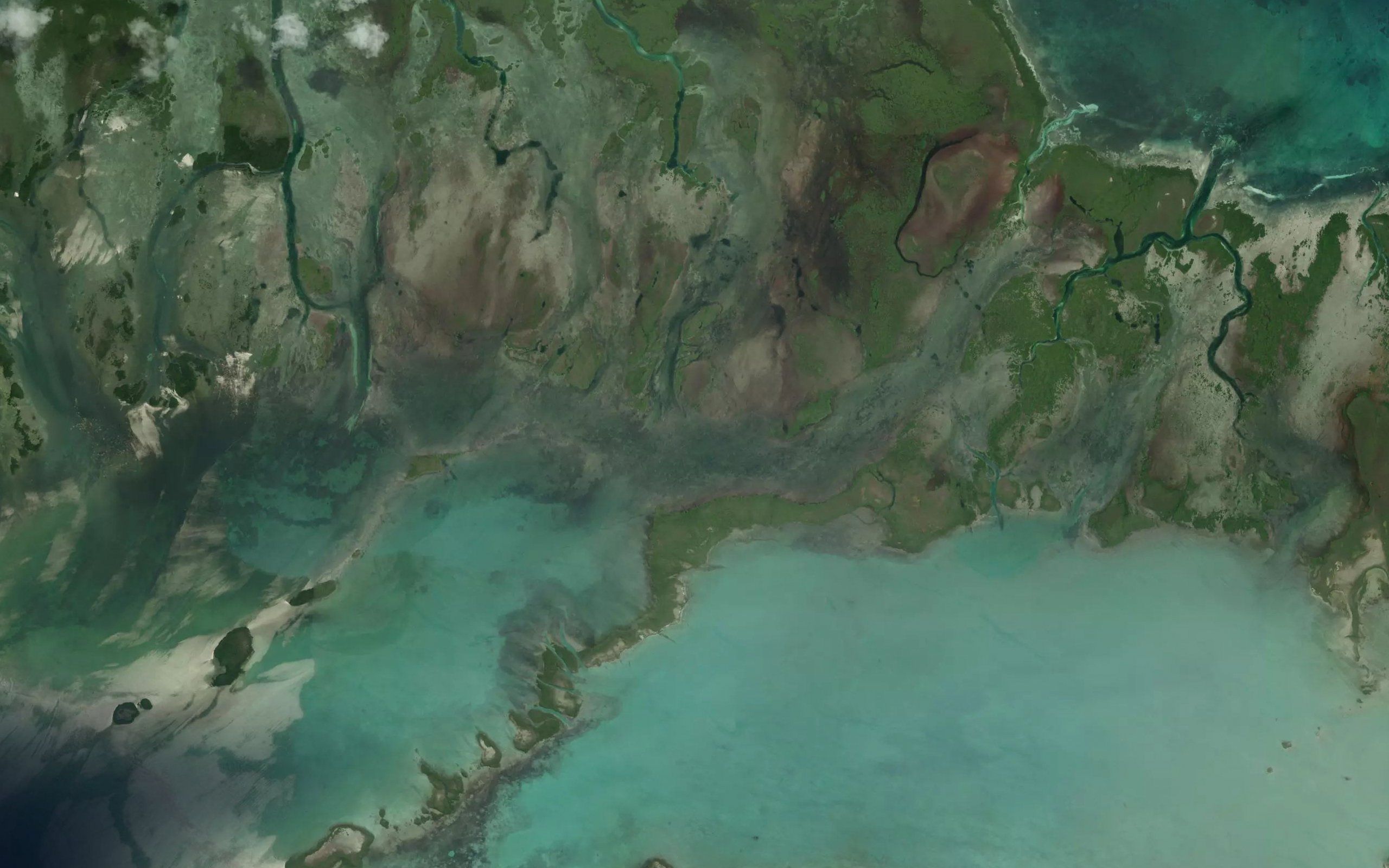 Laguna de Flamenco