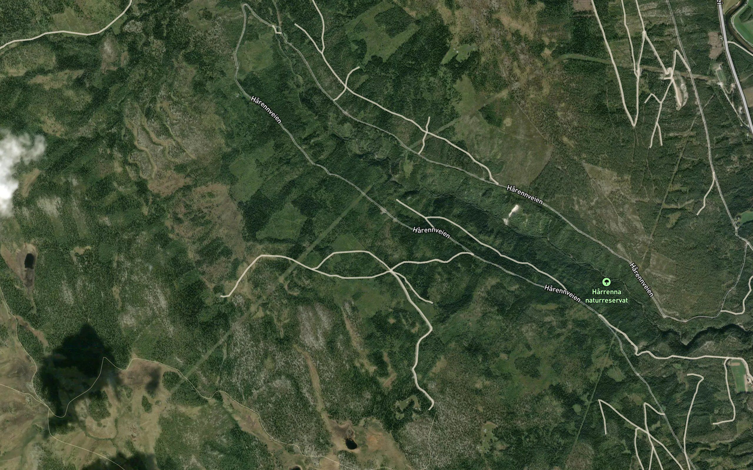 Treerbekken