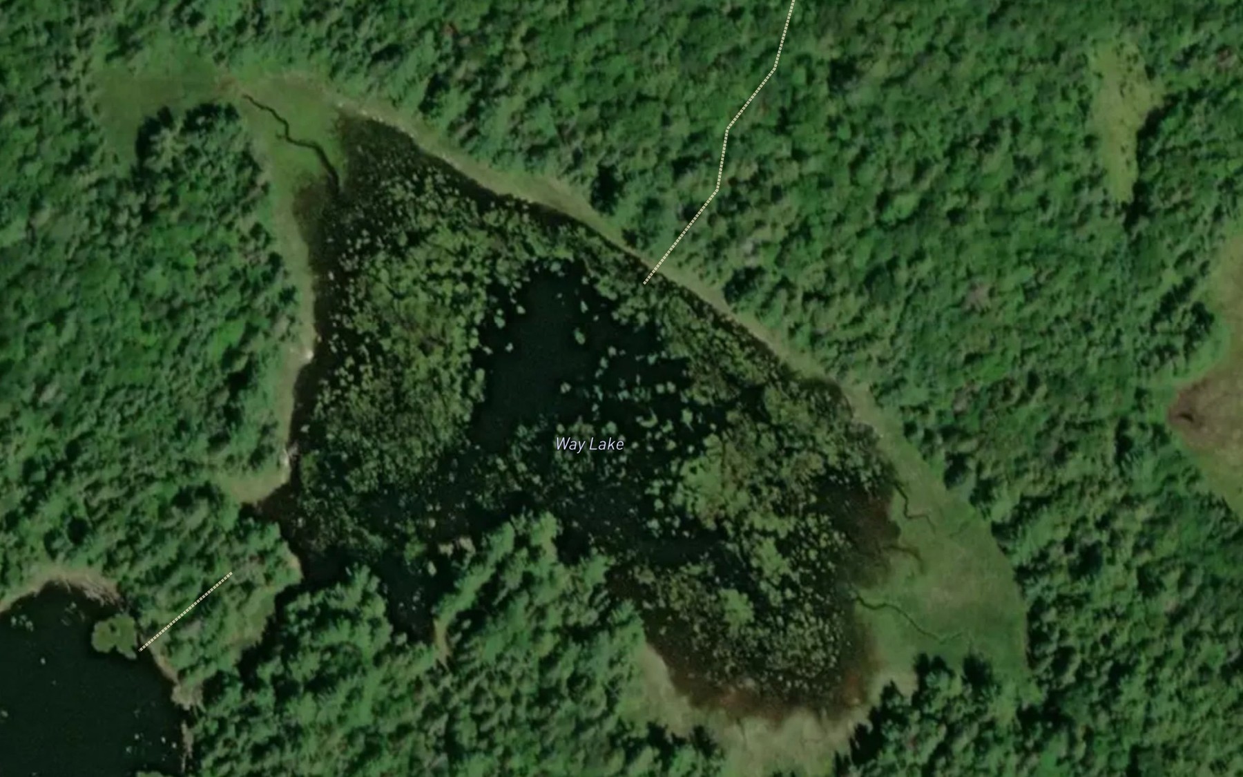 Satellite map of the Way Lake