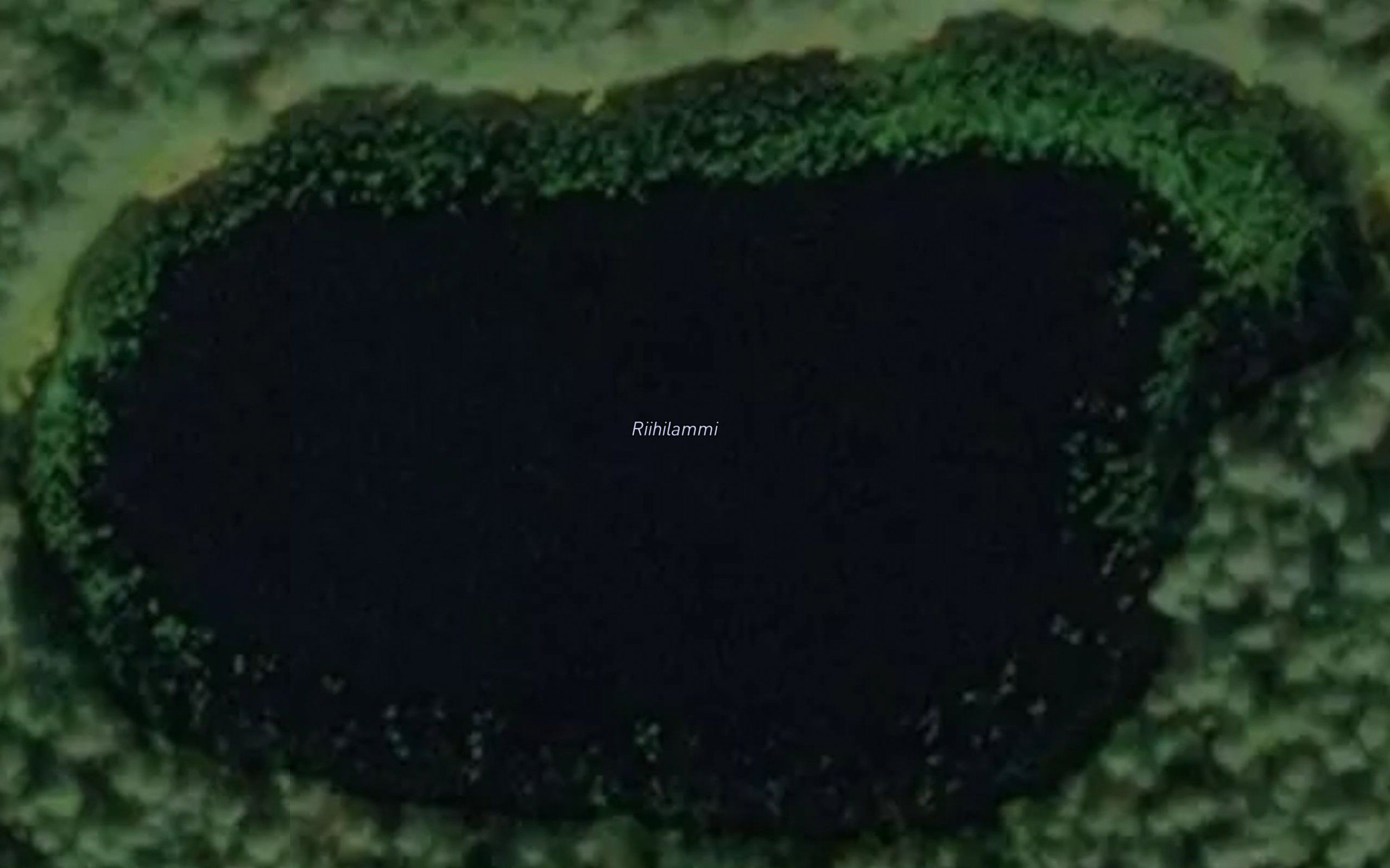 Riihilammi