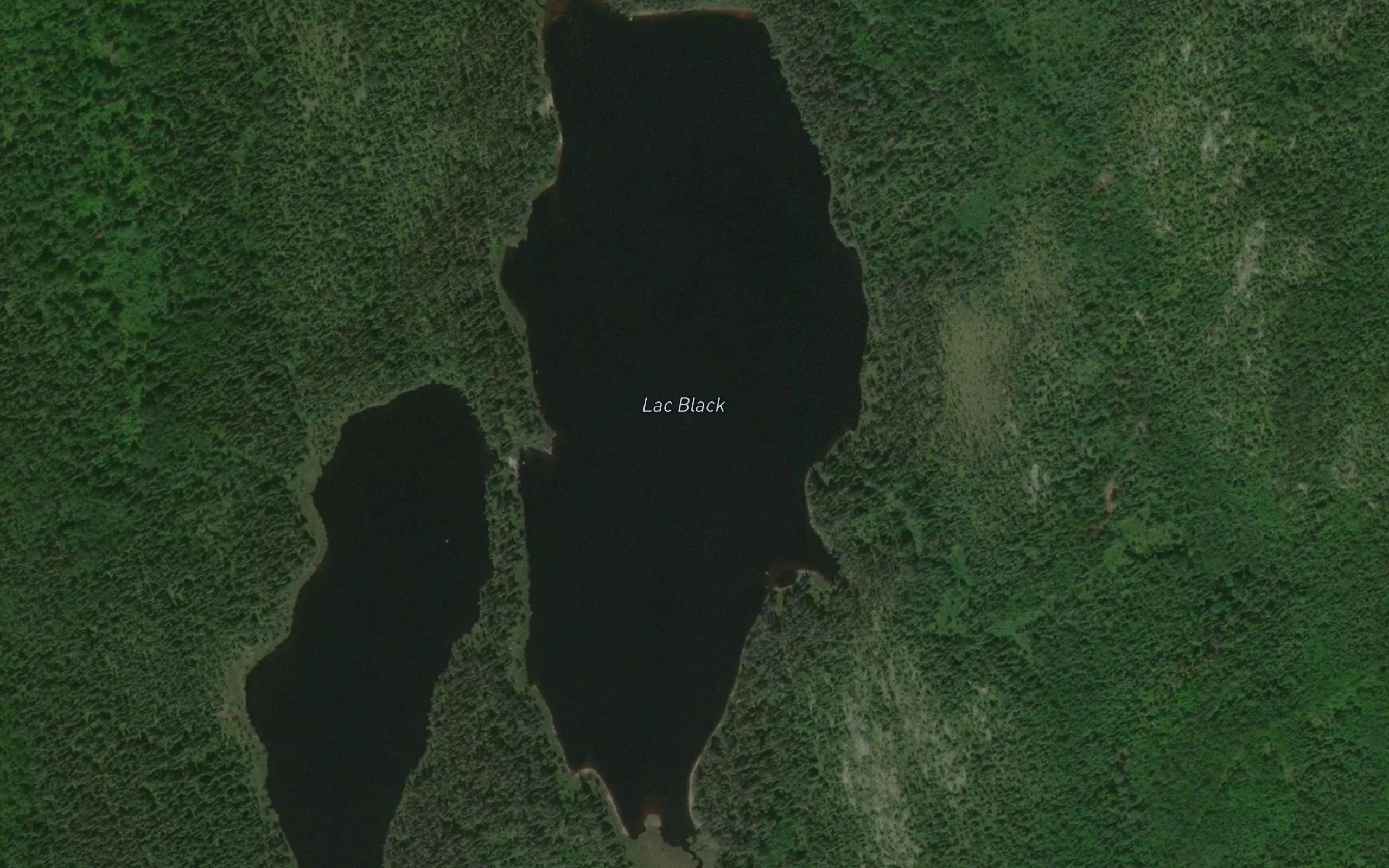 Lac Black