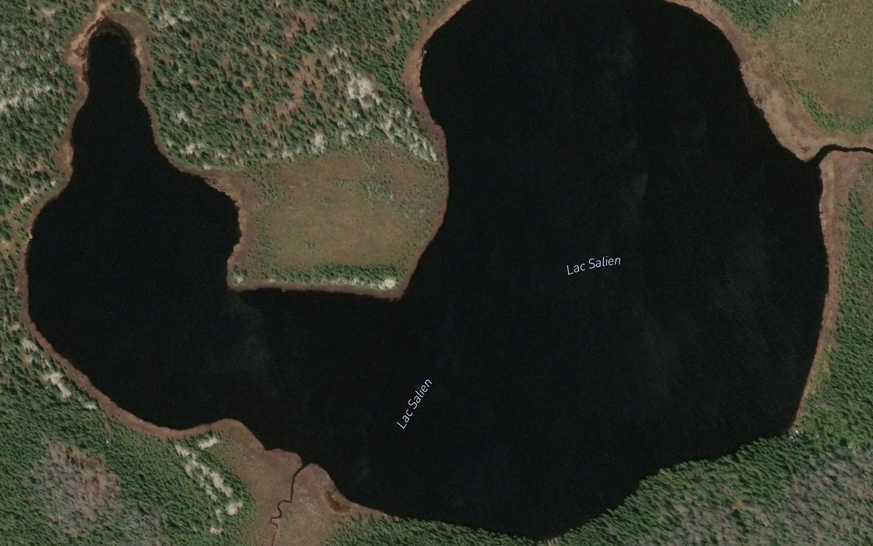 Satellite map of the Lac Salien